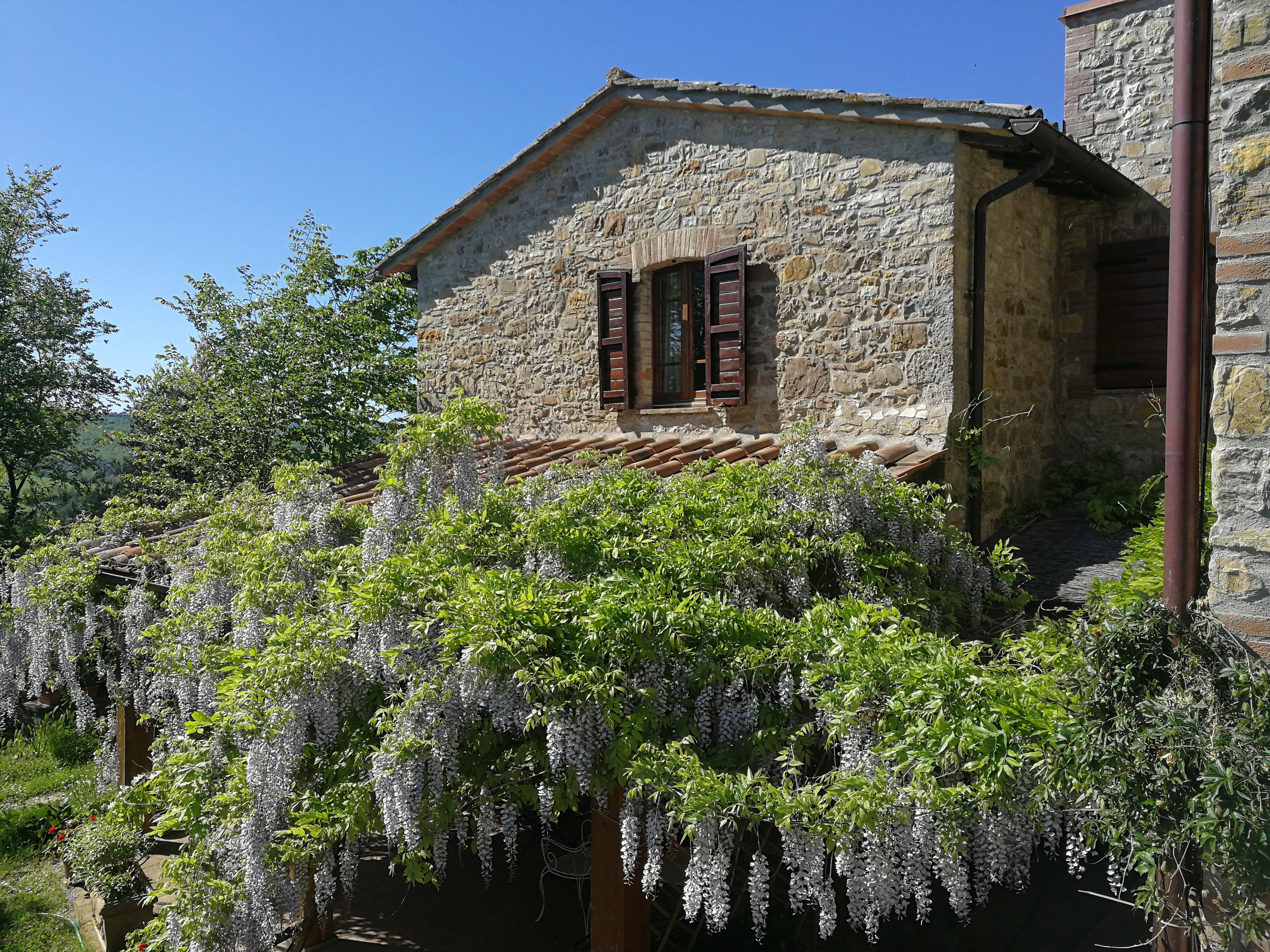 - image: 67