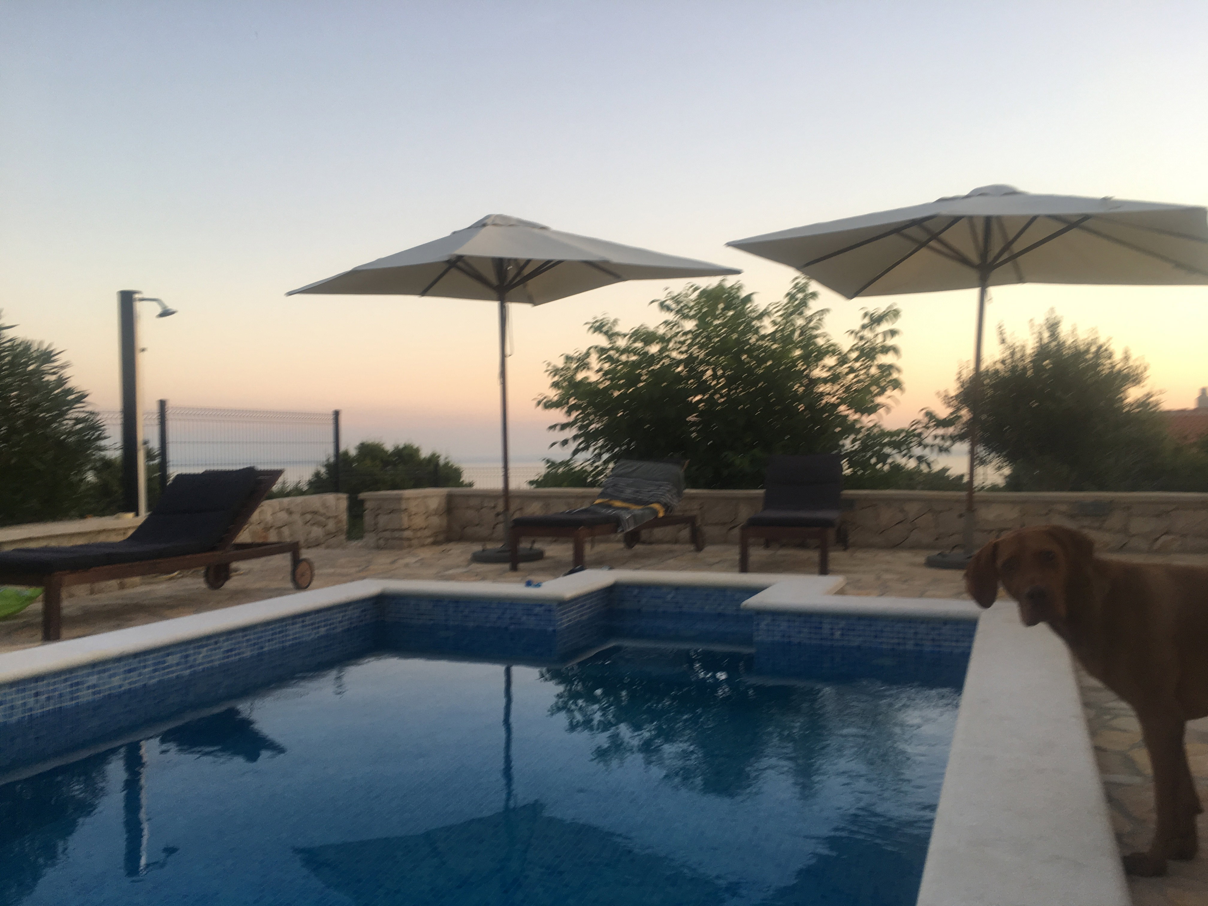 Casa nella natura a Dabovi stani