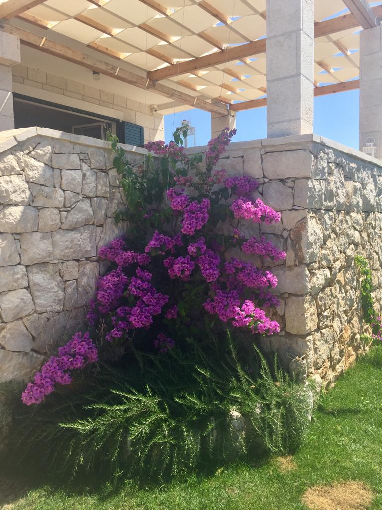 Casa nella natura a Dabovi stani
