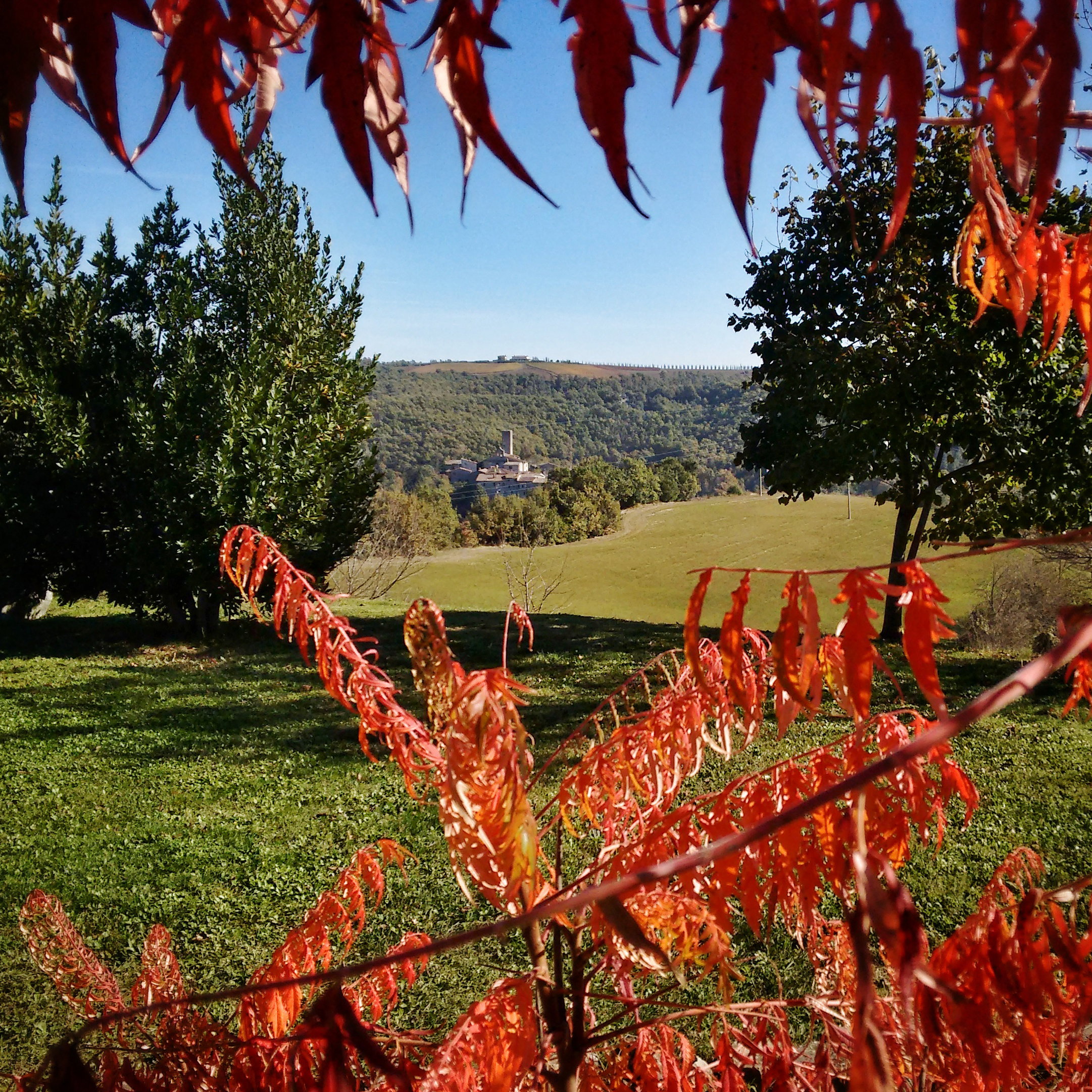 Nature house in Rotecastello