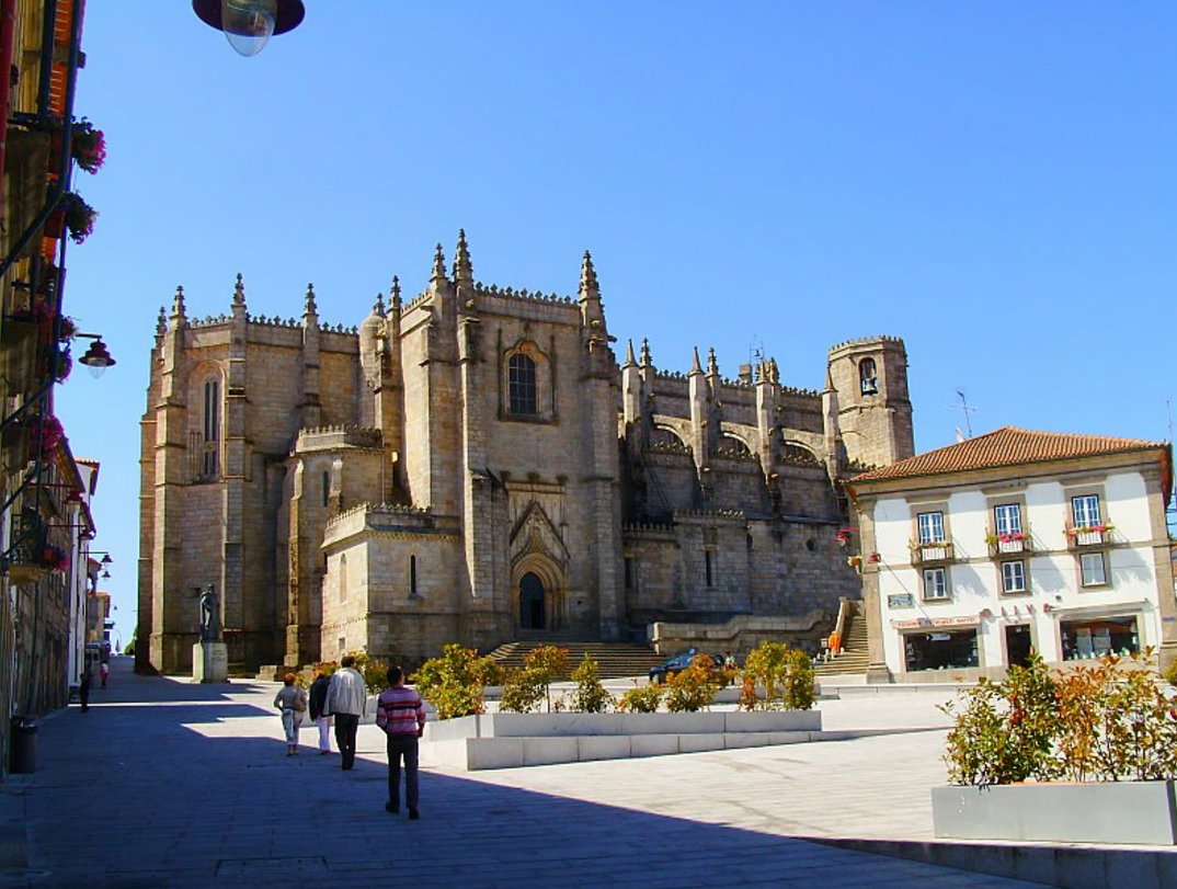 - image: 12