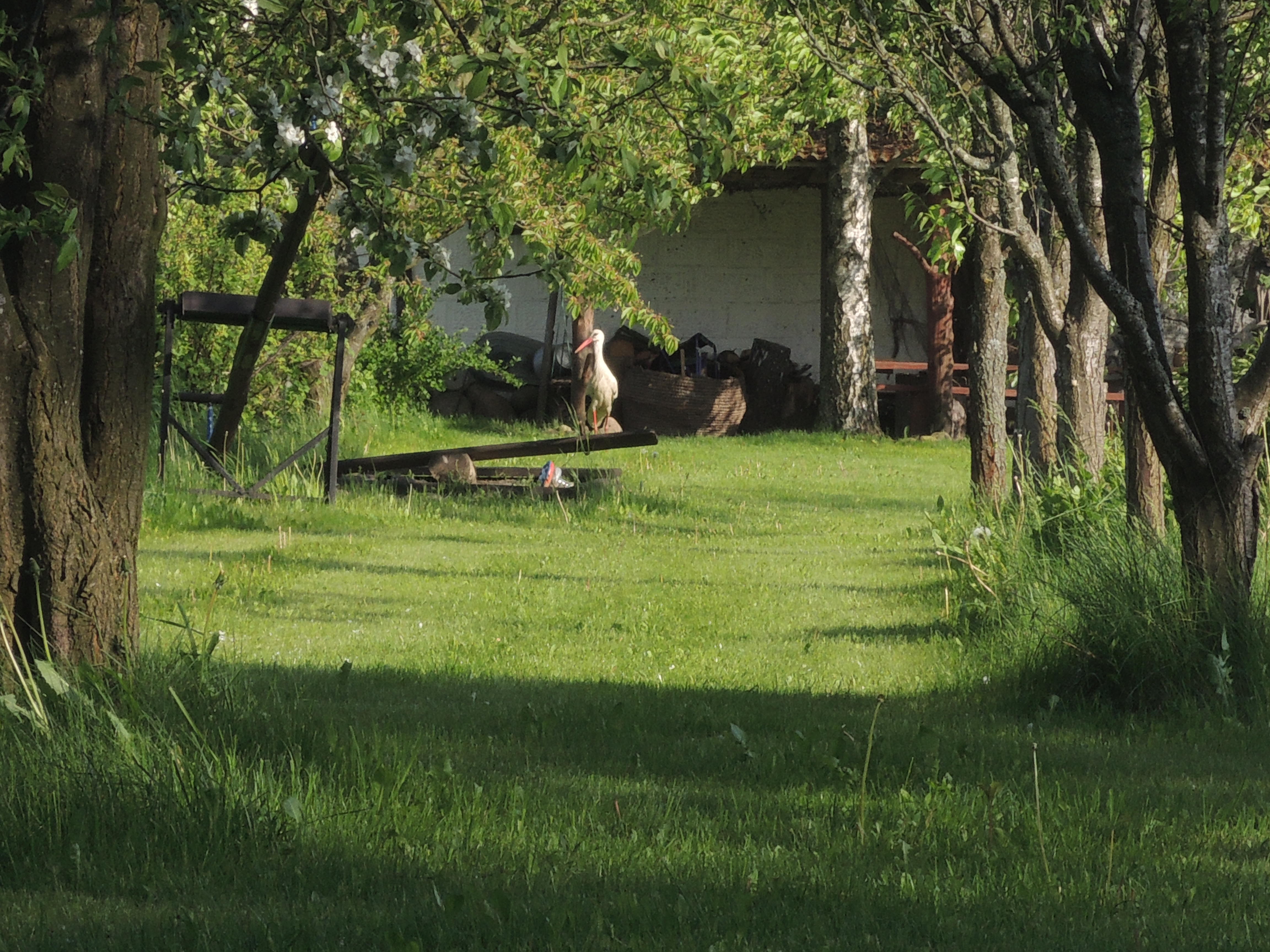 Maison nature à Dolistowo Stare Jaswiły