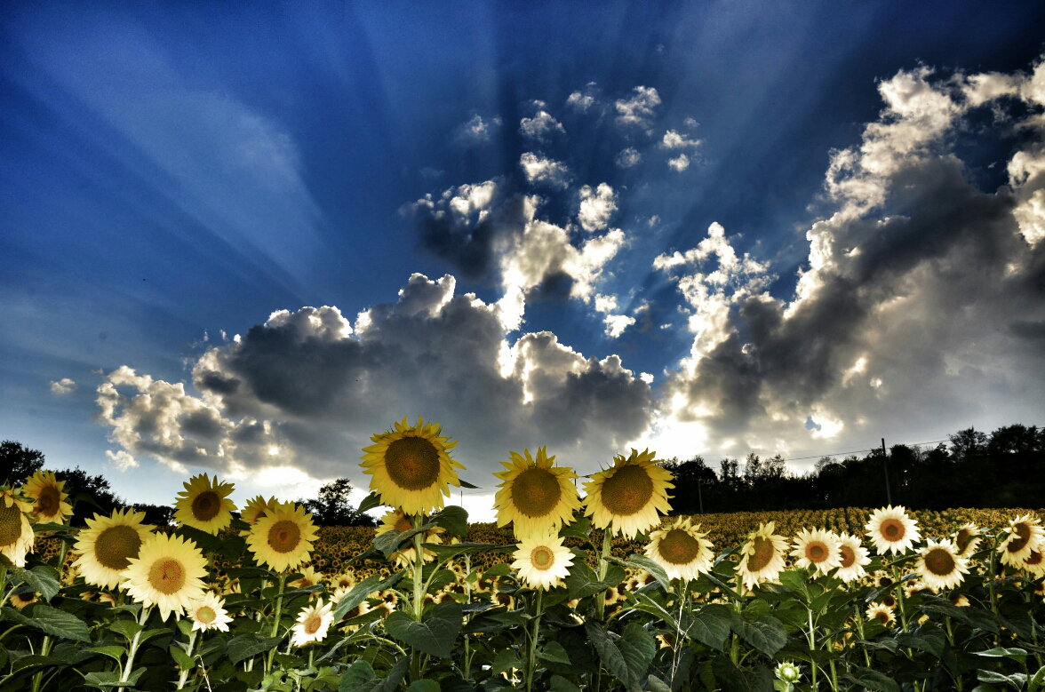 - image: 34