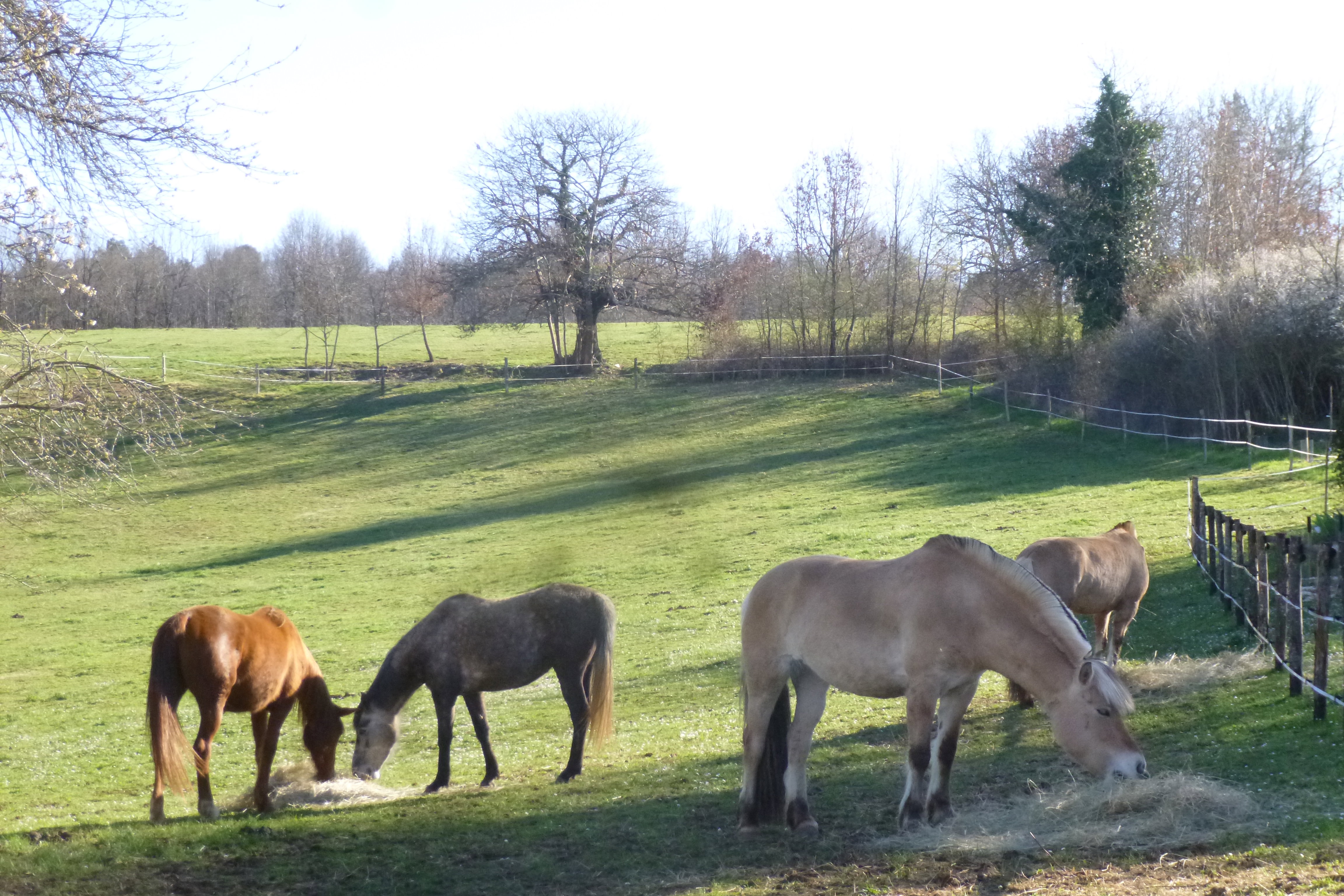 Natuurhuisje in Lanquais