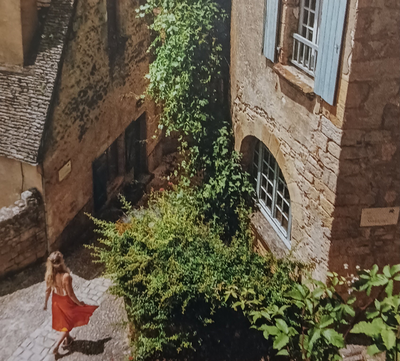 - image: 14