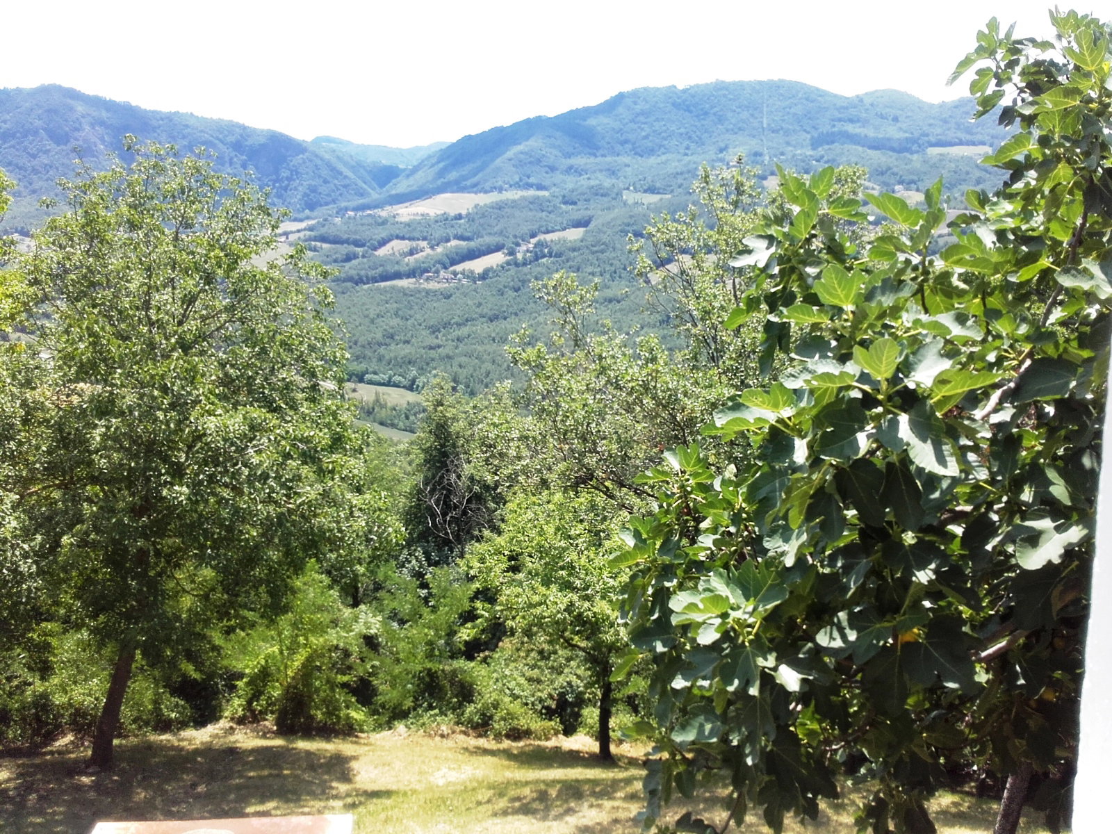 - image: 15