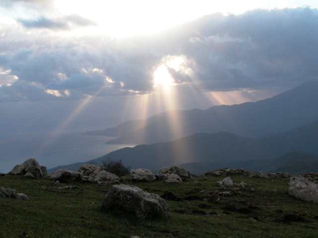 - image: 17
