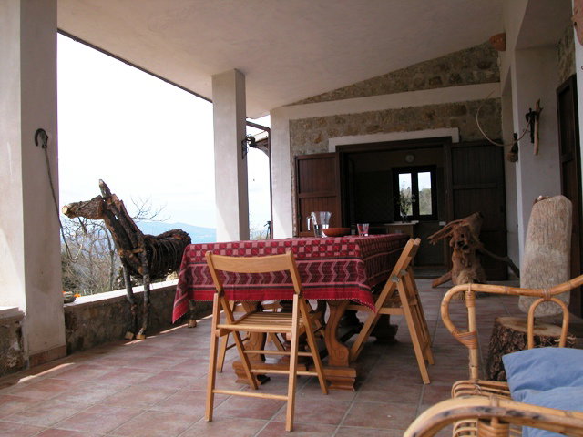 - image: 12