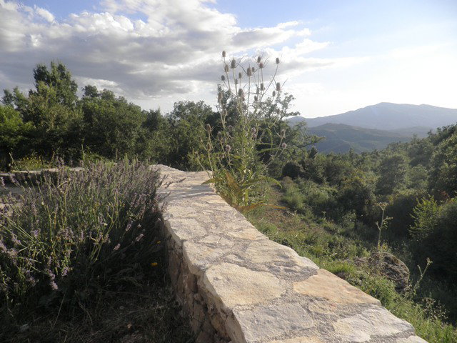 - image: 14