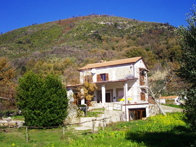 - image: 1