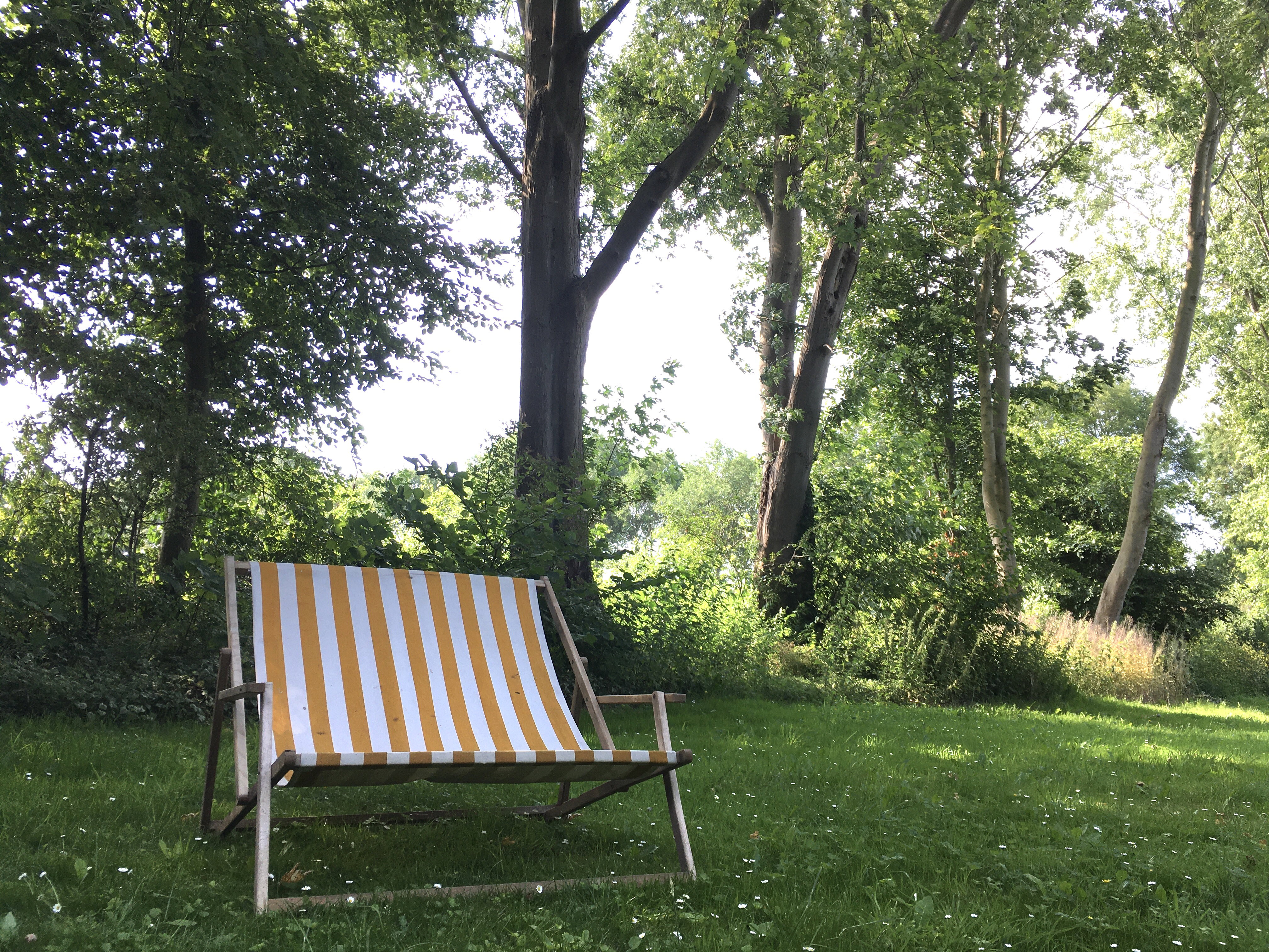 Natuurhuisje in Driewegen