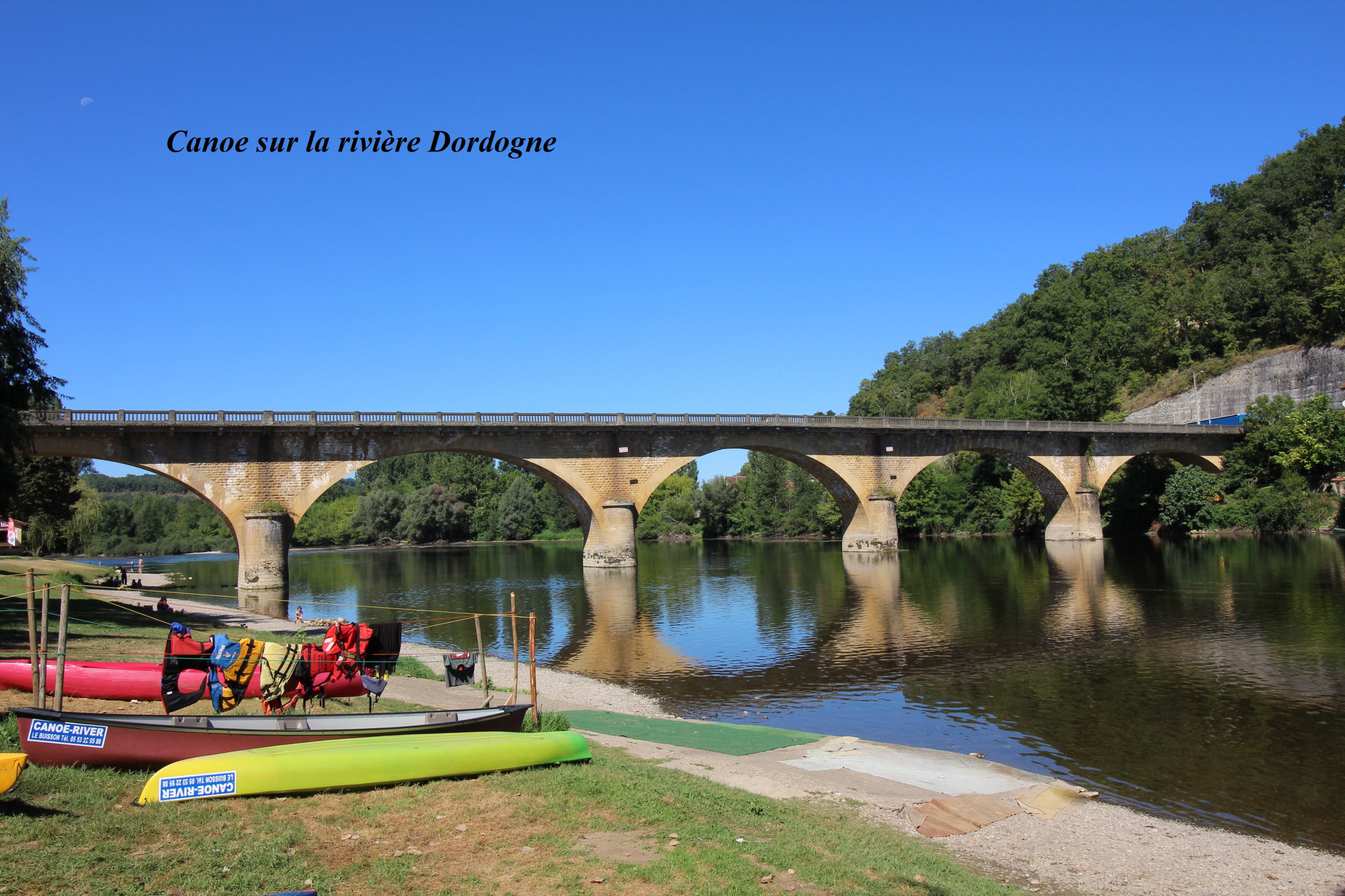 - image: 12