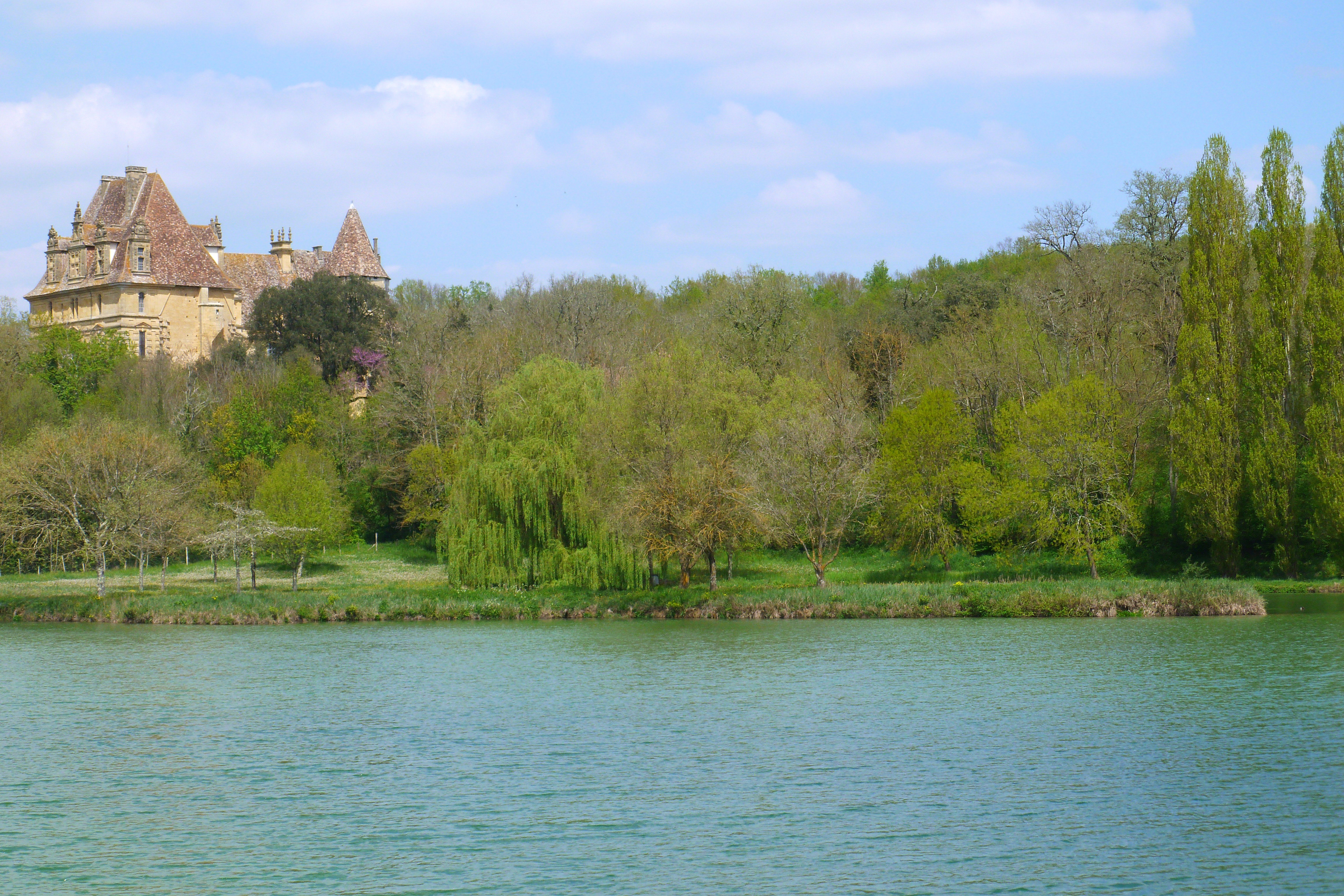 - image: 11