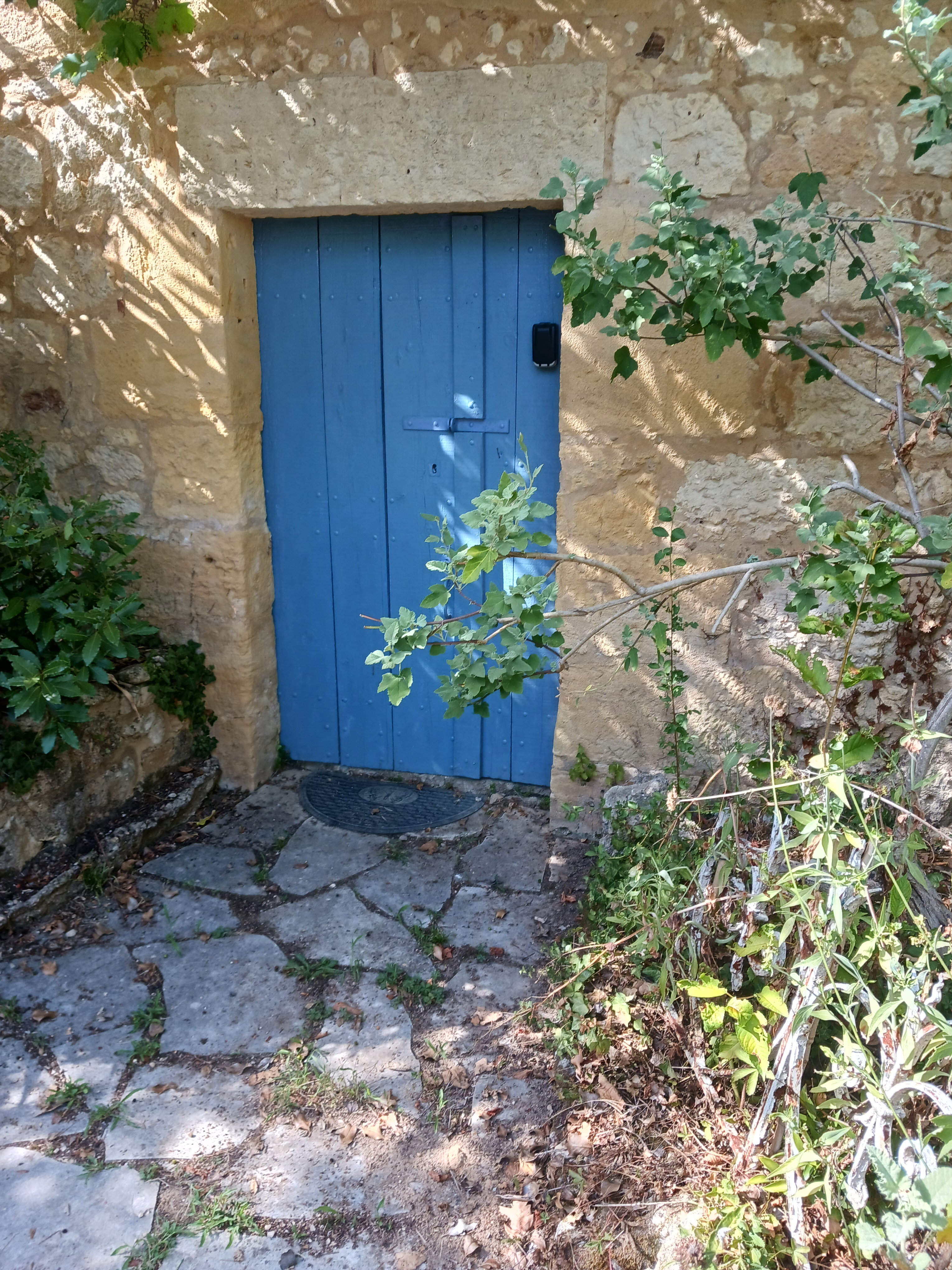 - image: 18