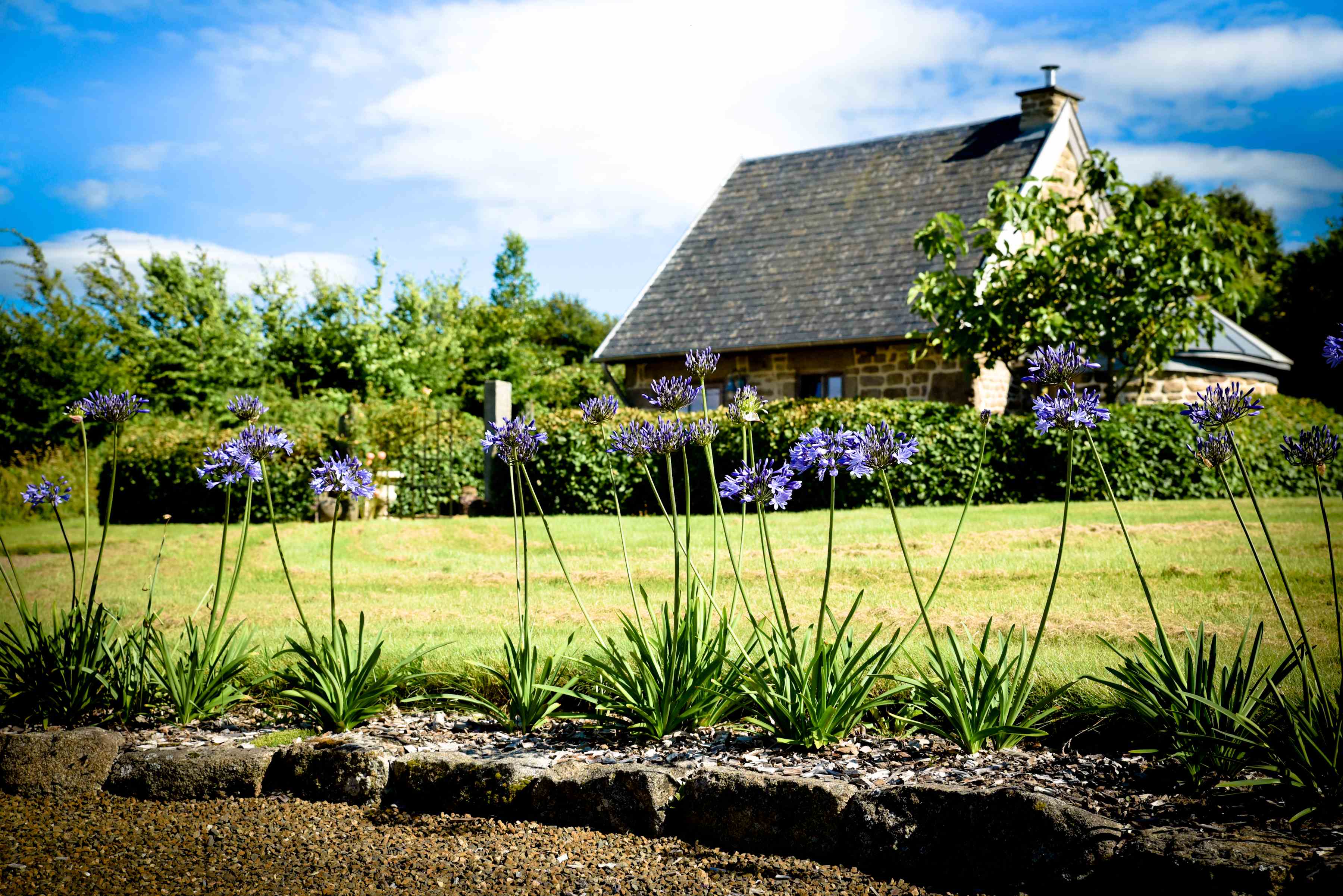 Nature house in Gathemo