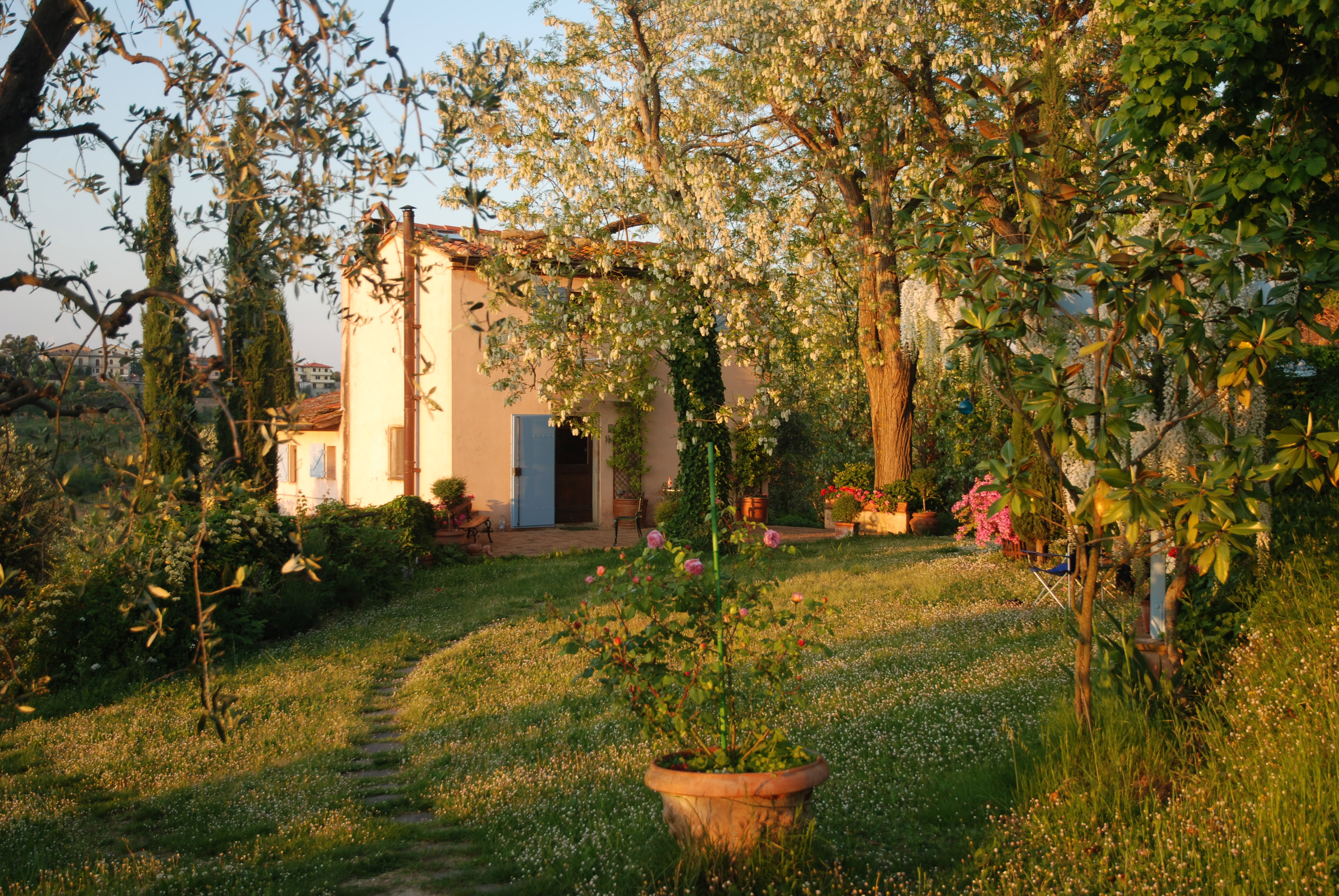 - image: 12