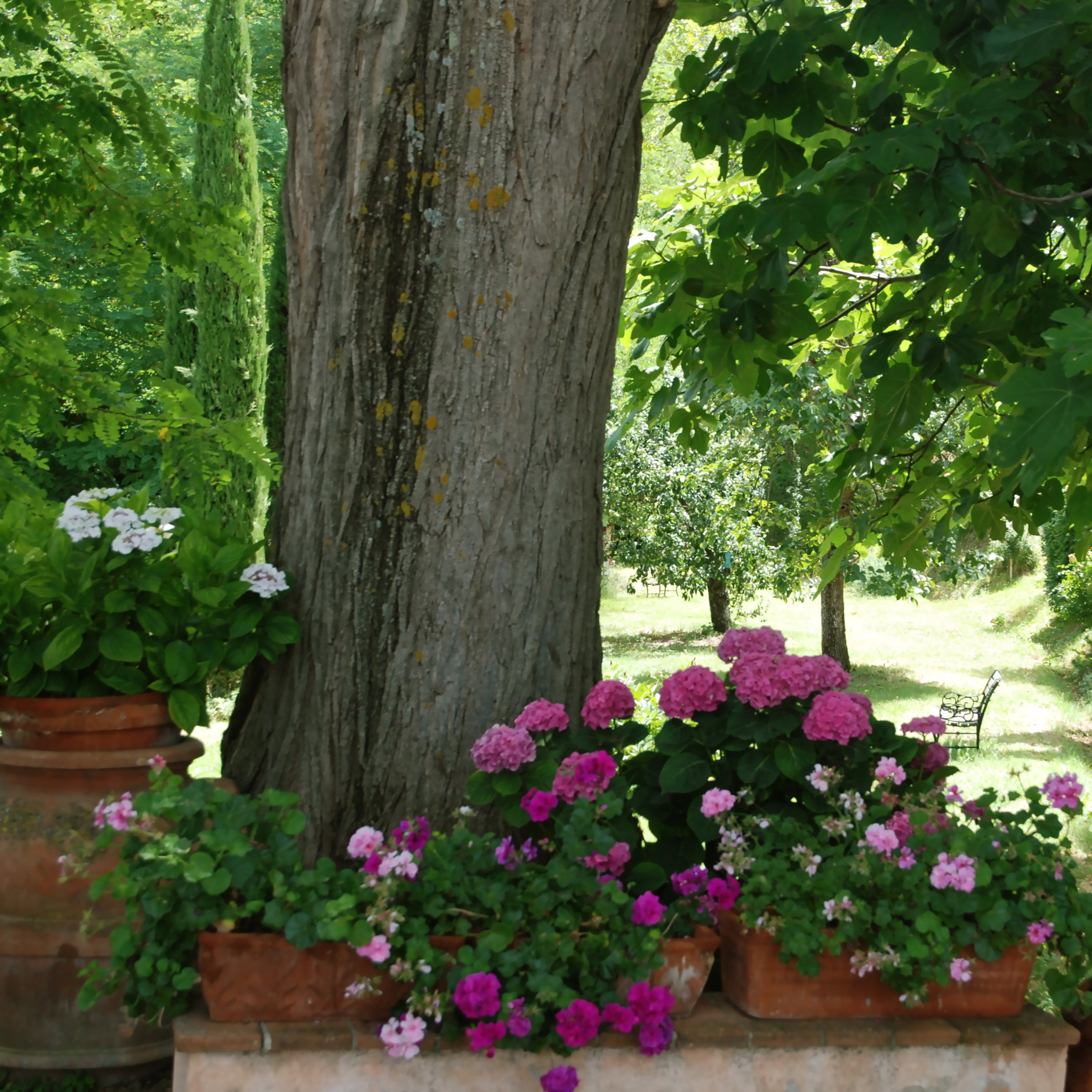 - image: 17