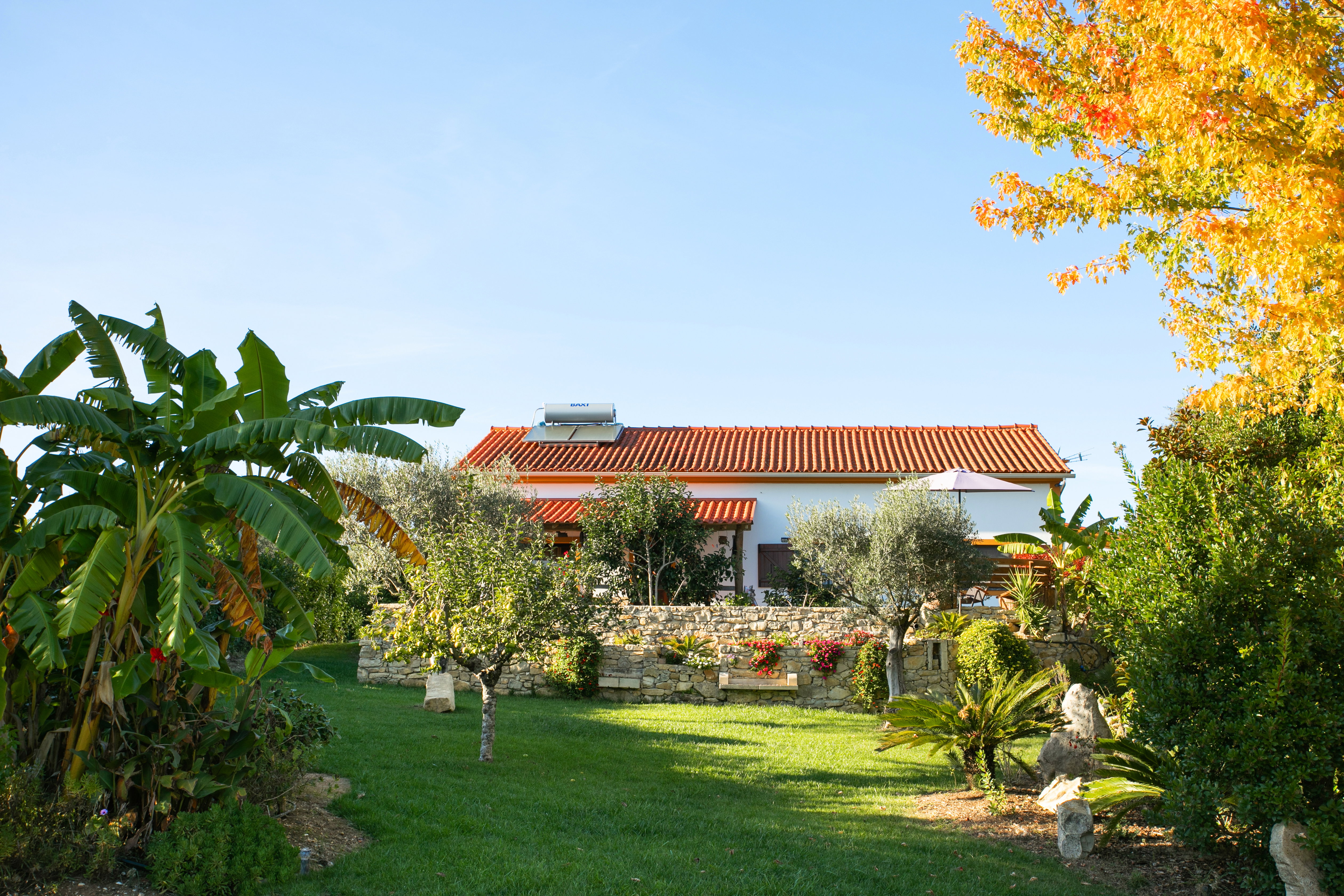 Casa nella natura a Carcavelos - Samuel - Soure