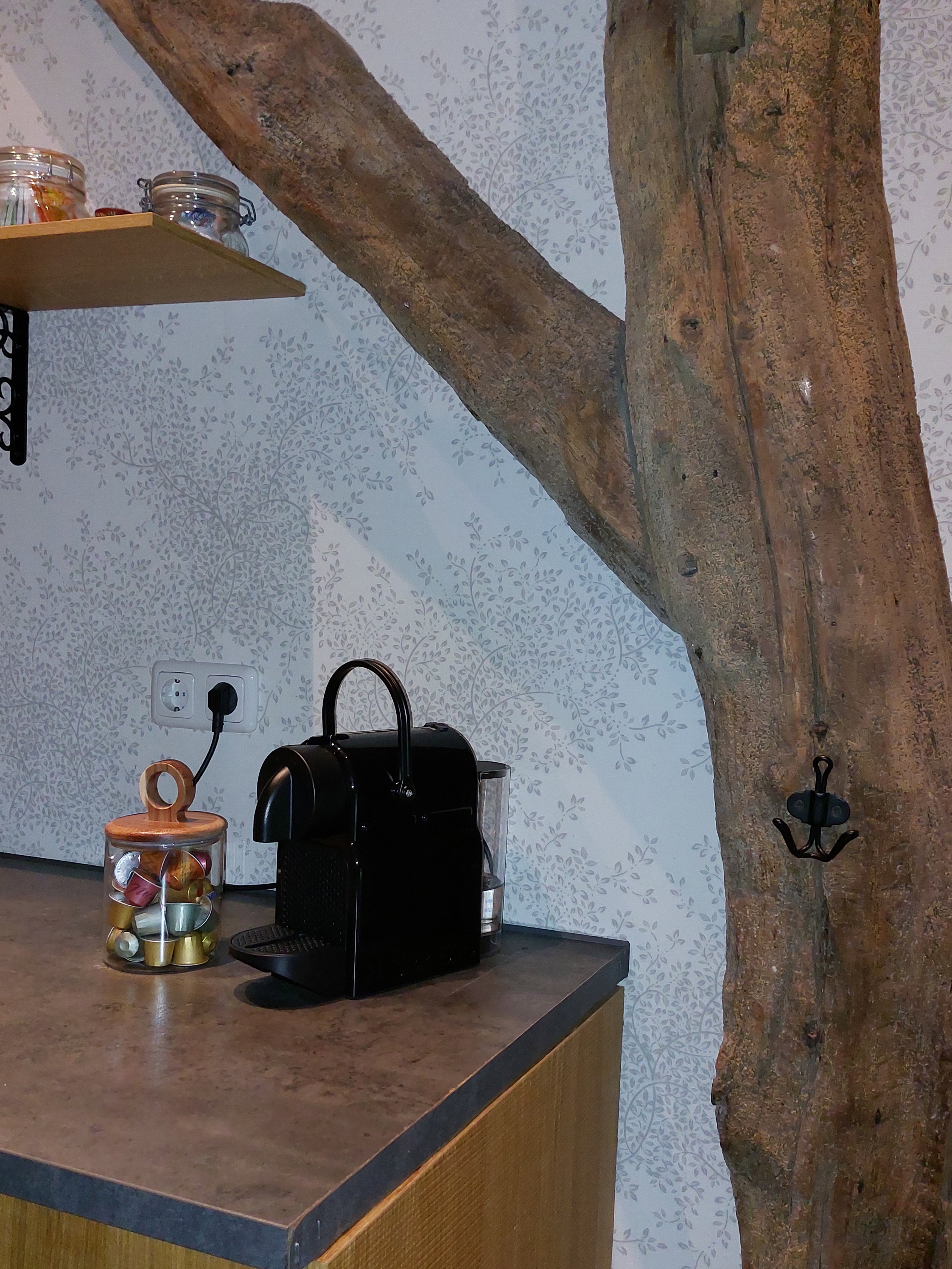 Maison nature à Staphorst
