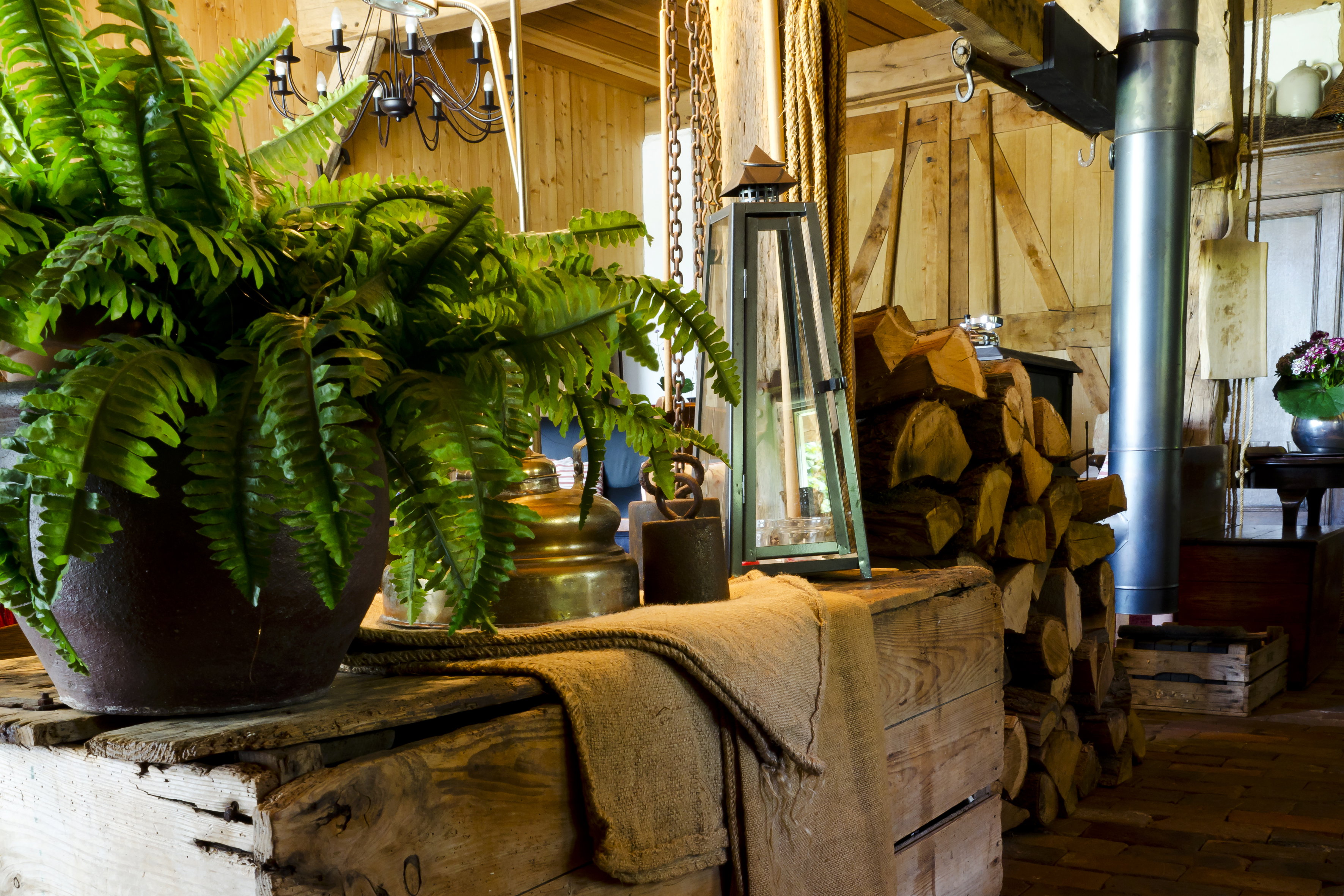Nature house in Winterswijk
