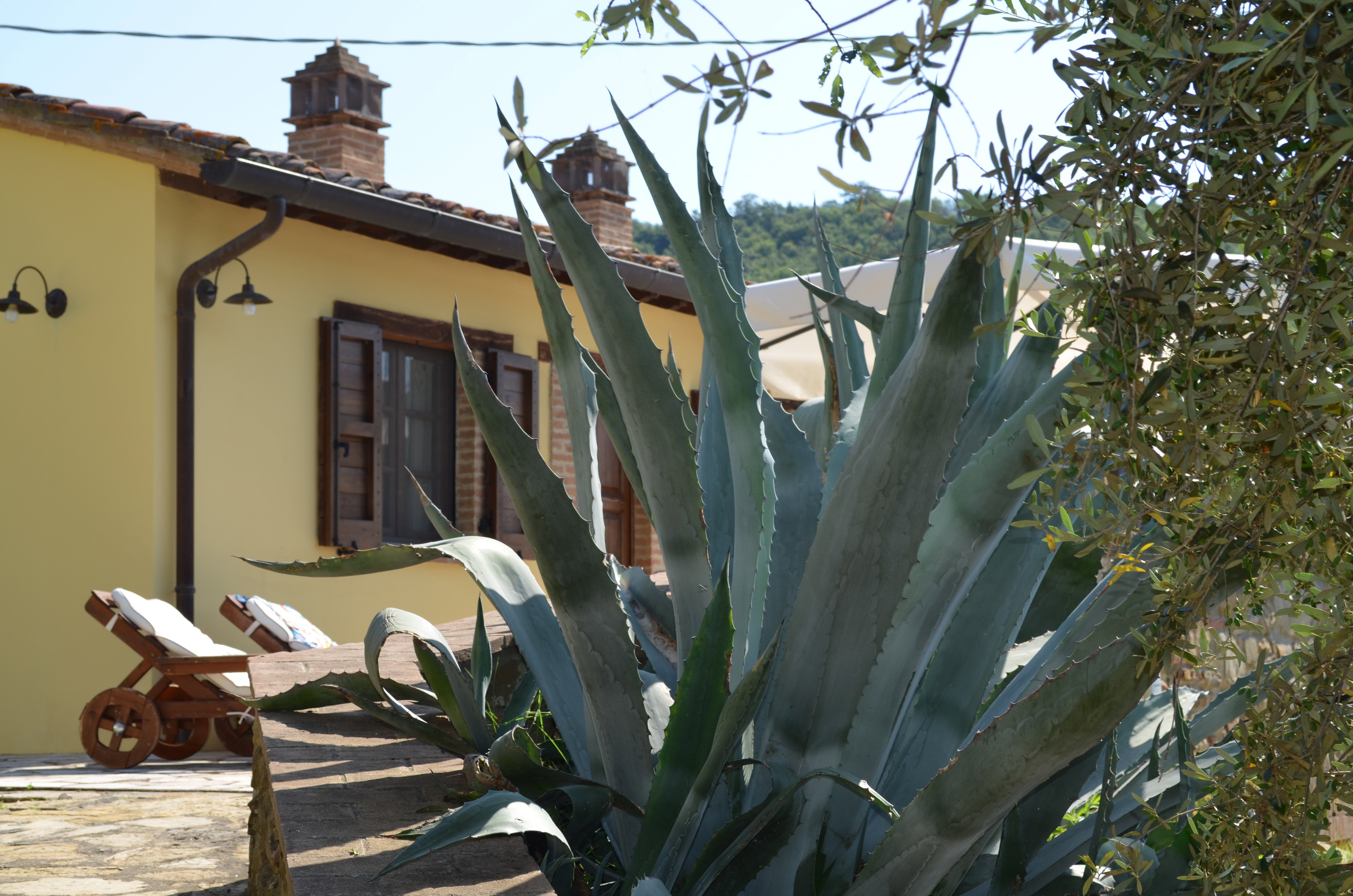 Nature house in Panicale