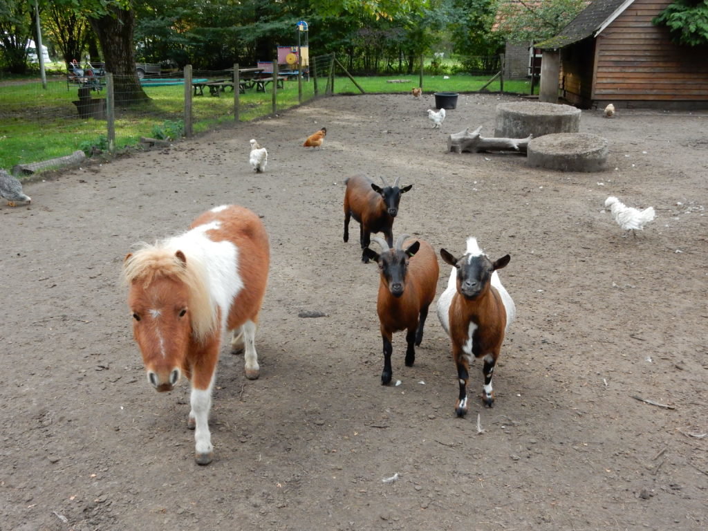 Naturhäuschen in Neede