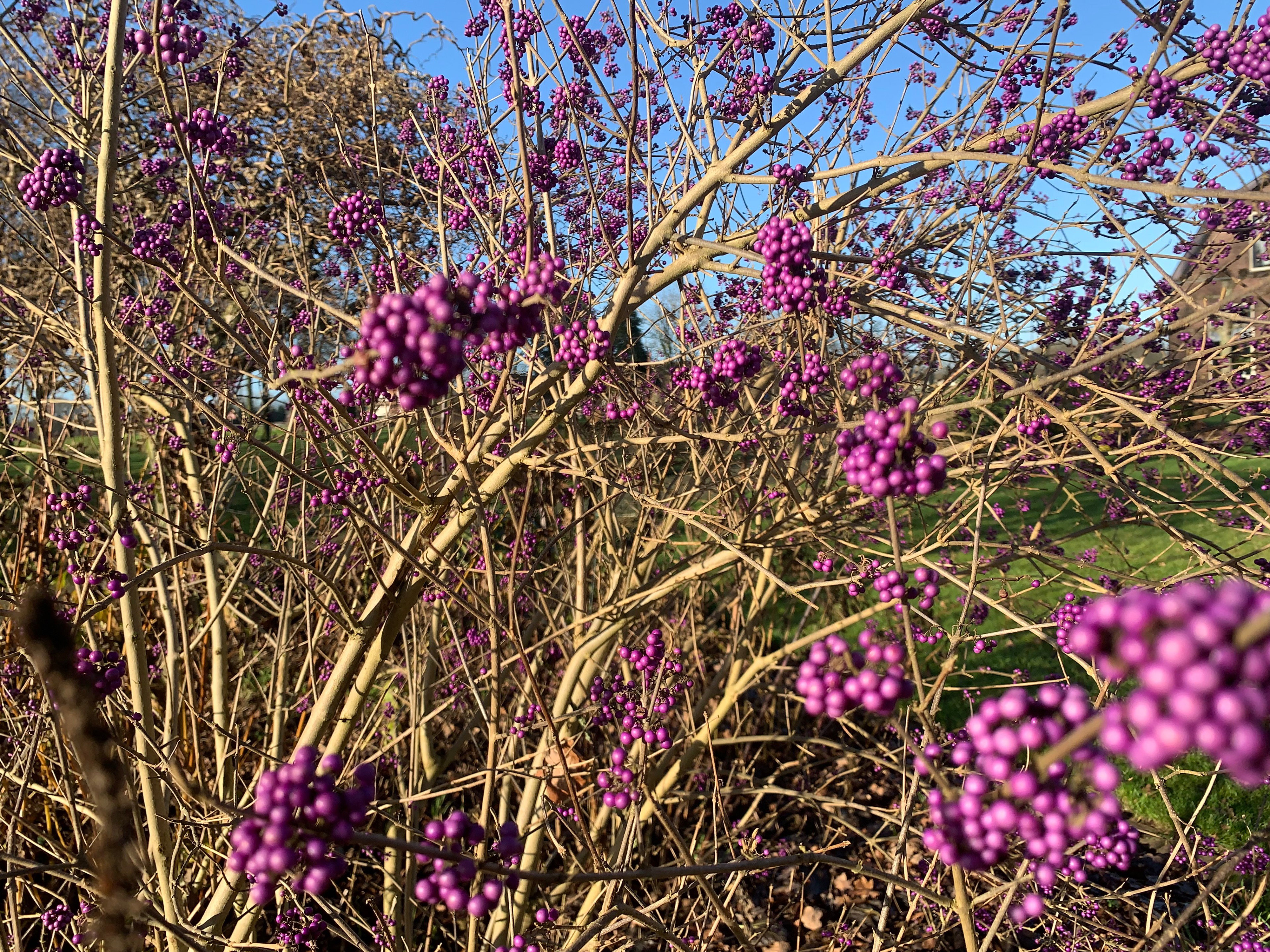 Natuurhuisje in Neede