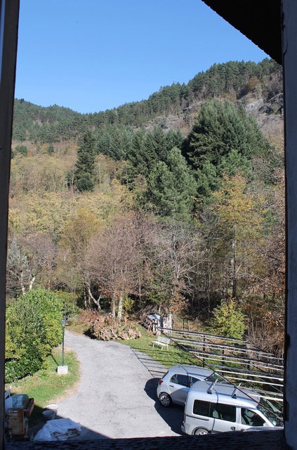 - image: 11