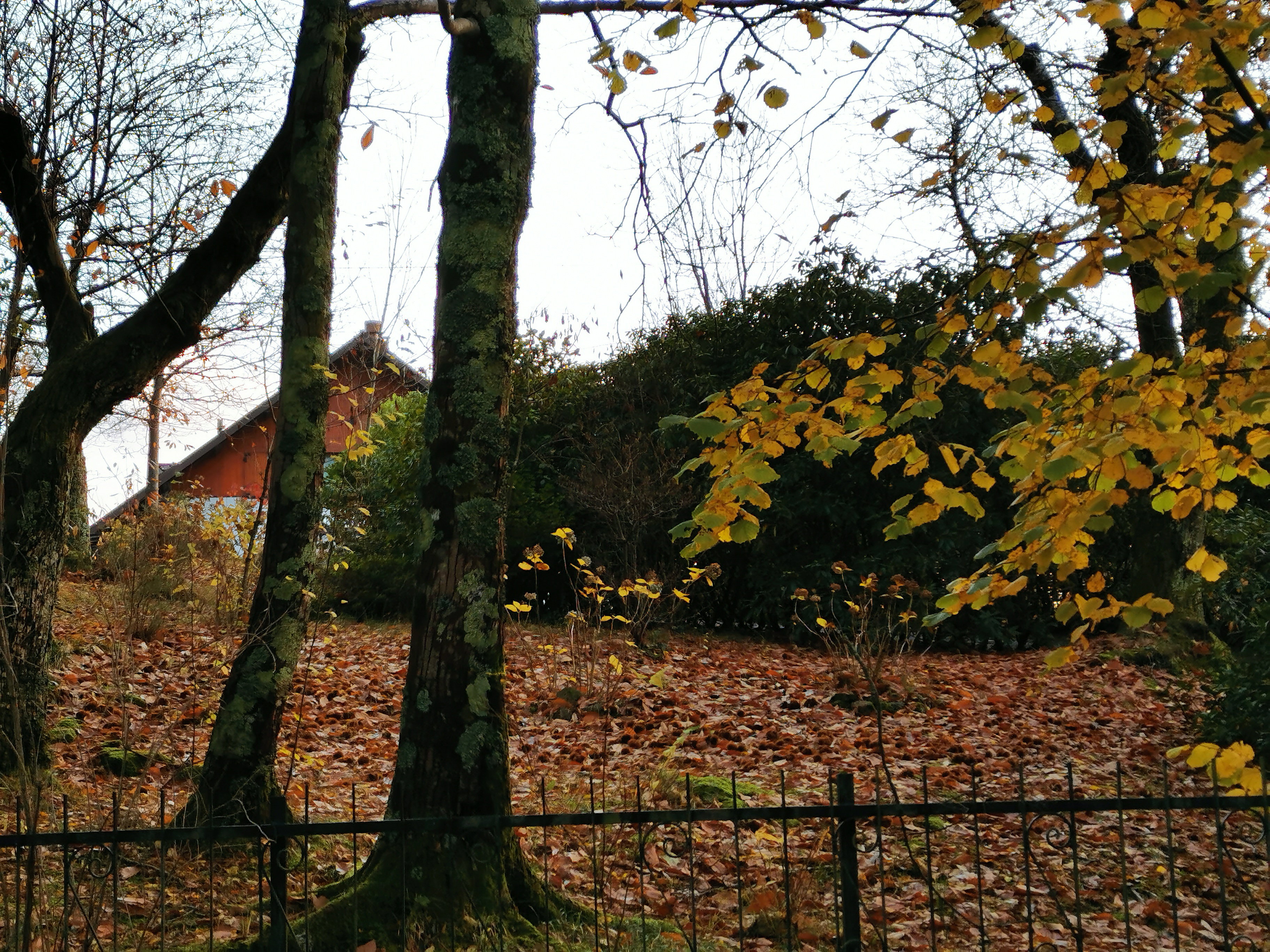 Casa nella natura a Borzonasca