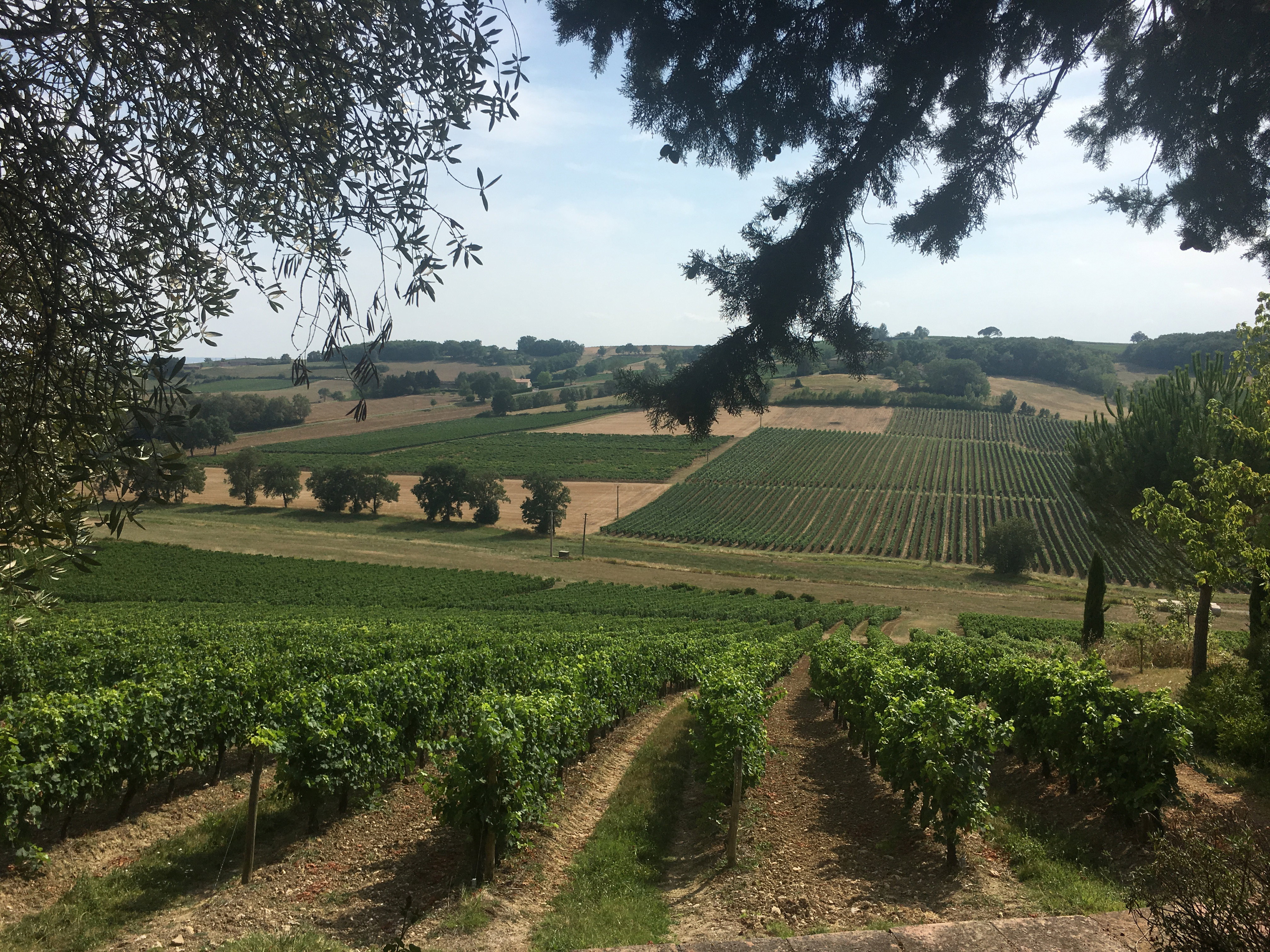 Maison nature à Fayssac