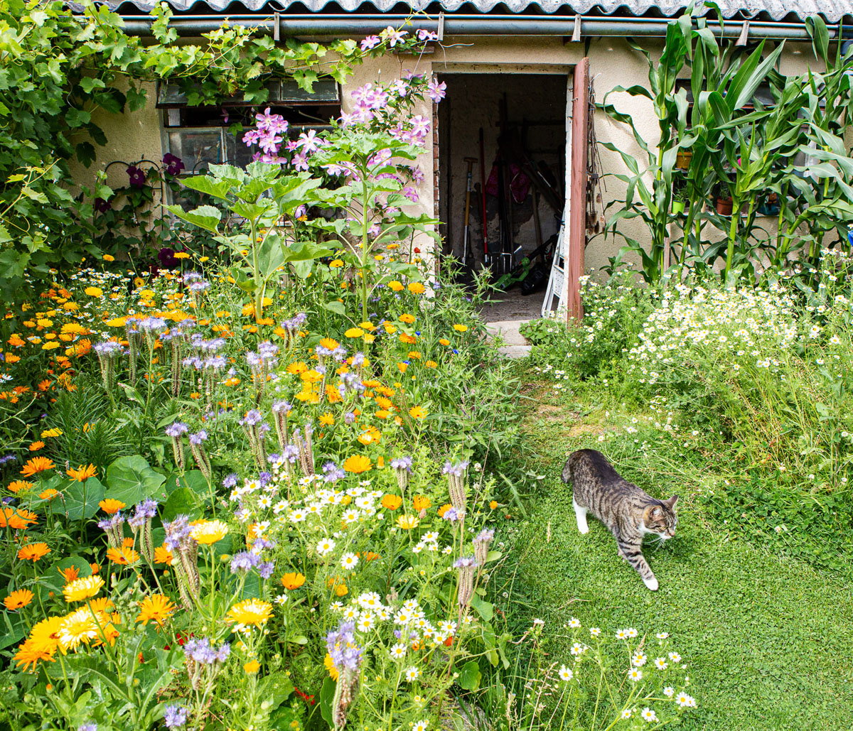 Casa nella natura a Breege