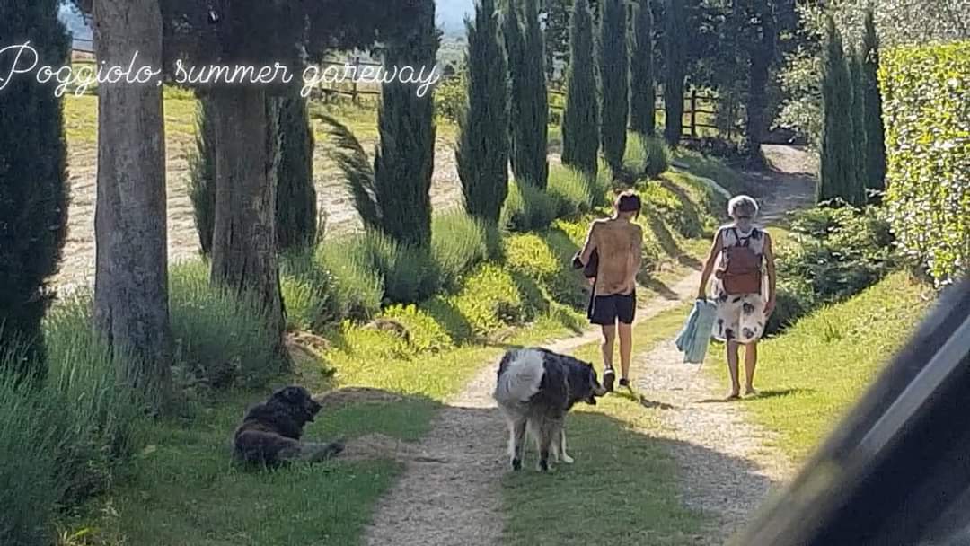 Maison nature à Montegiovi Belvedere