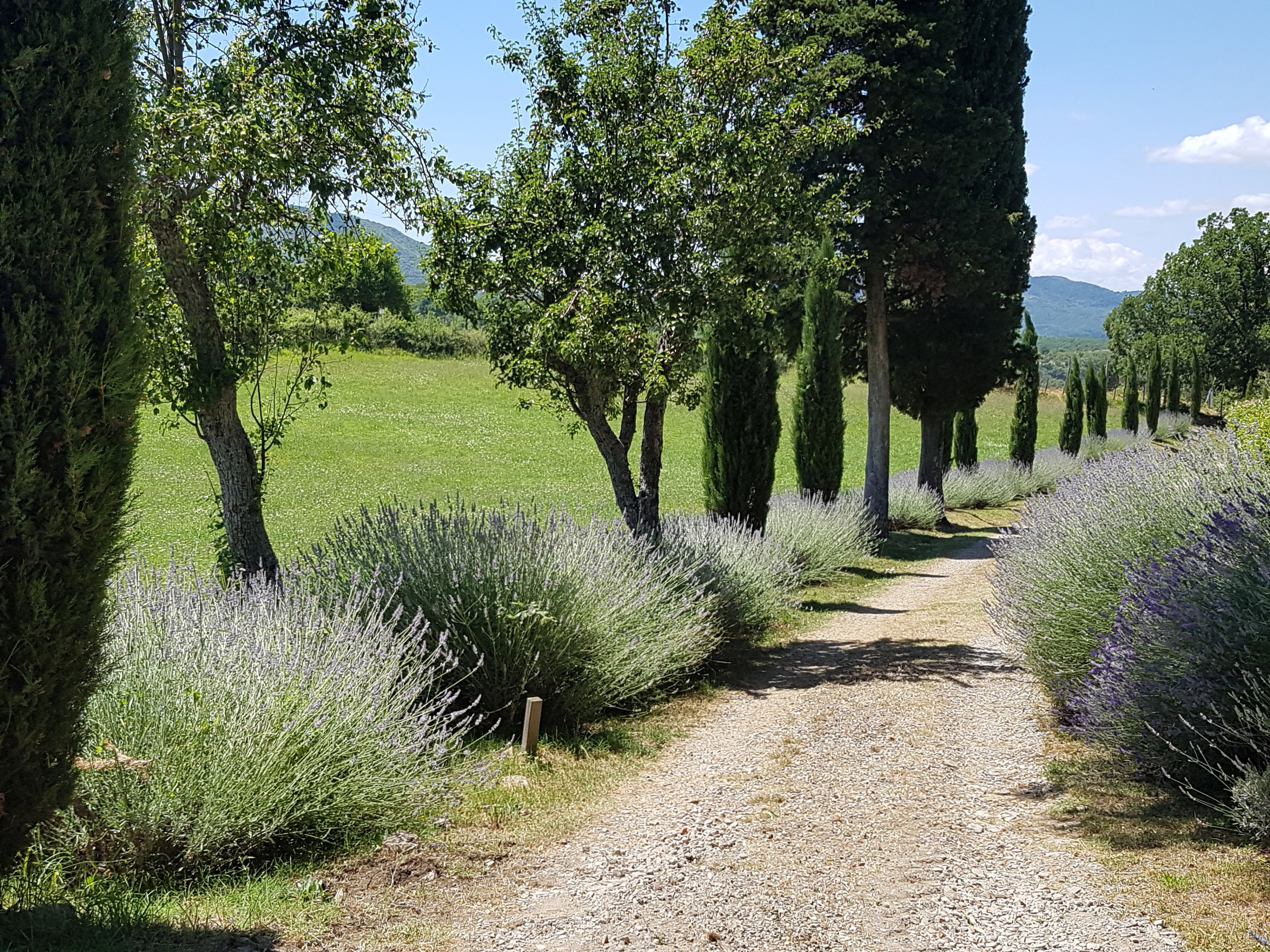 Maison nature à Montegiovi Belvedere