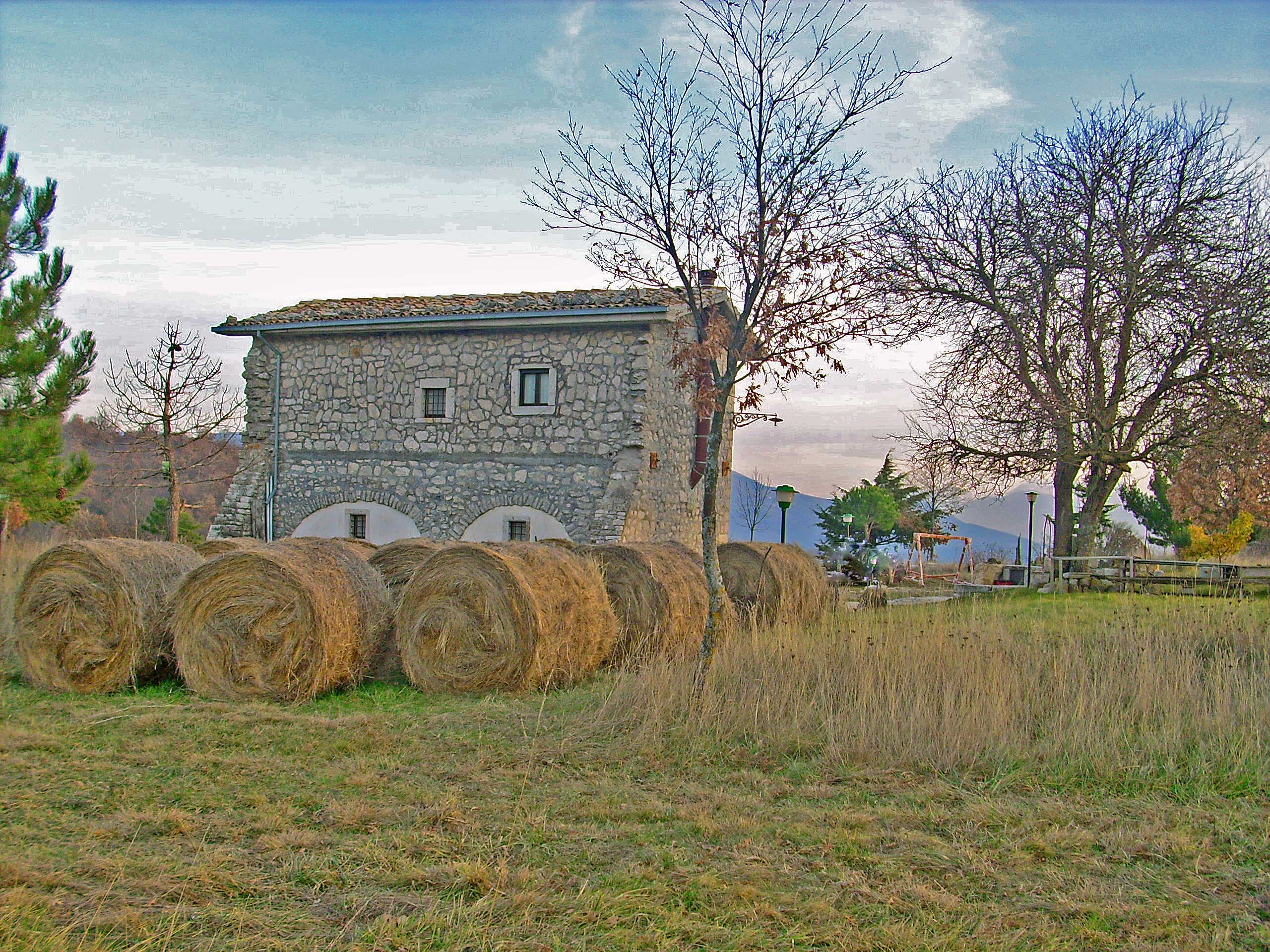 - image: 11