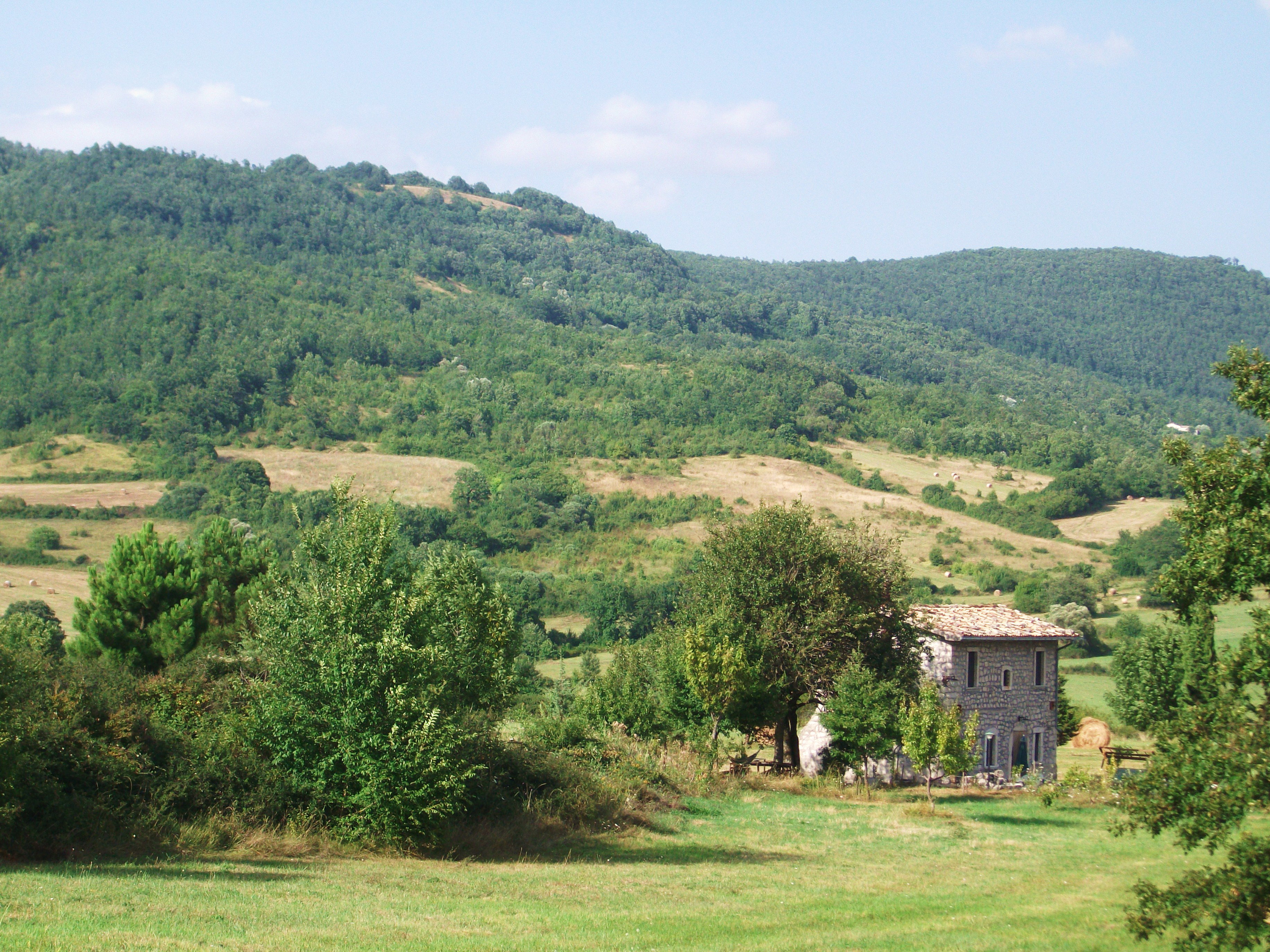 - image: 22