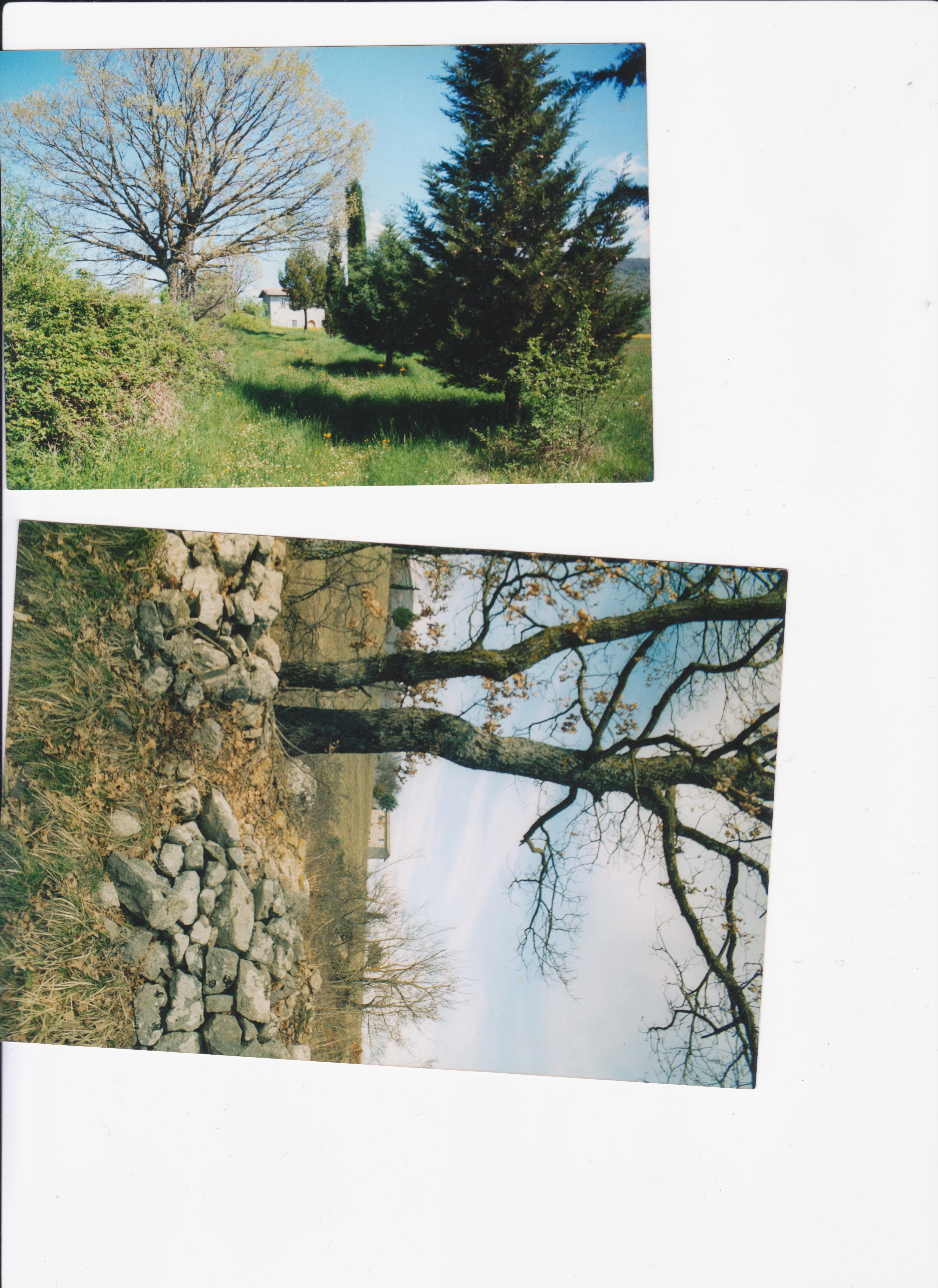 - image: 23
