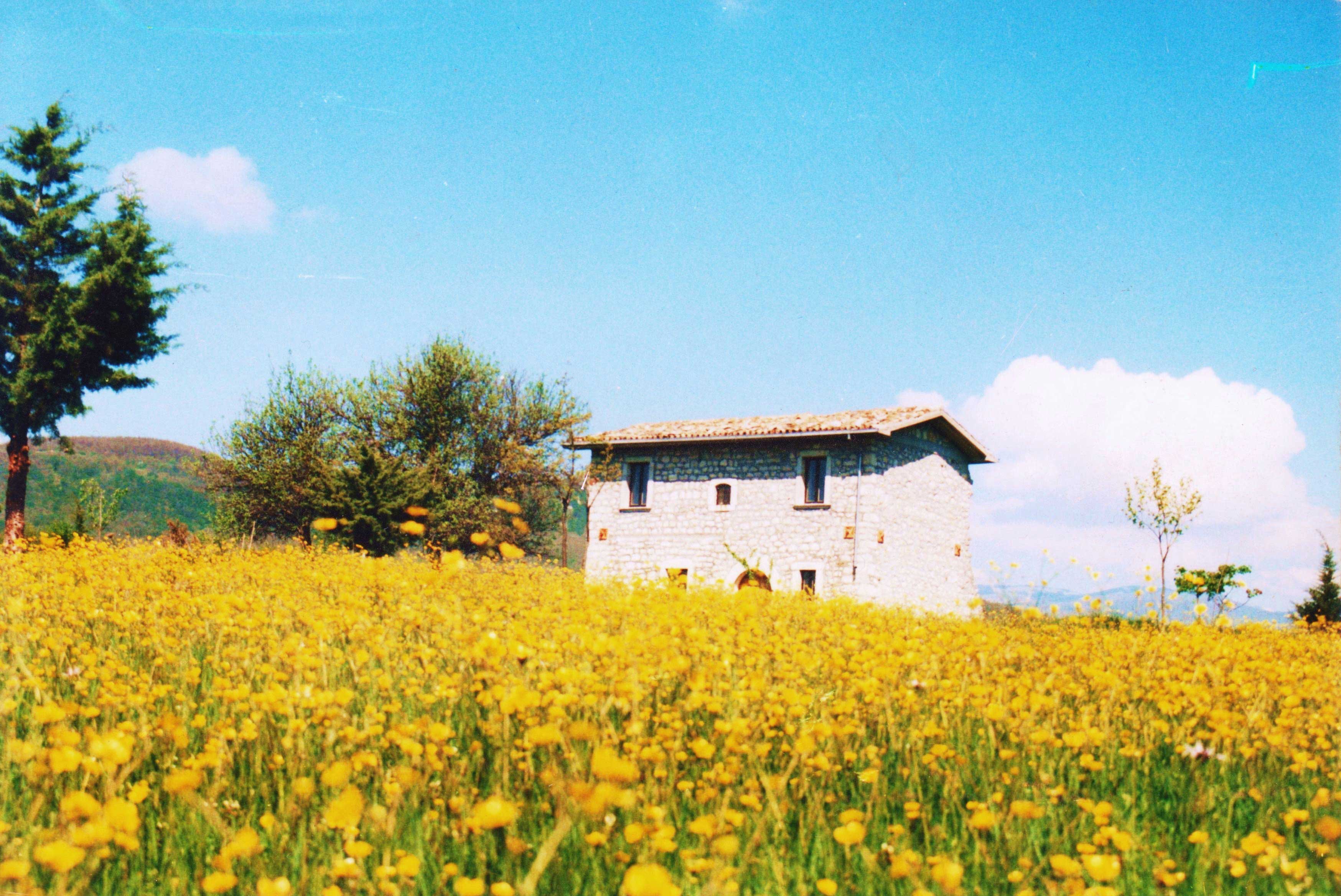 - image: 12