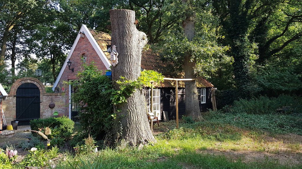 Naturhäuschen in Sellingen