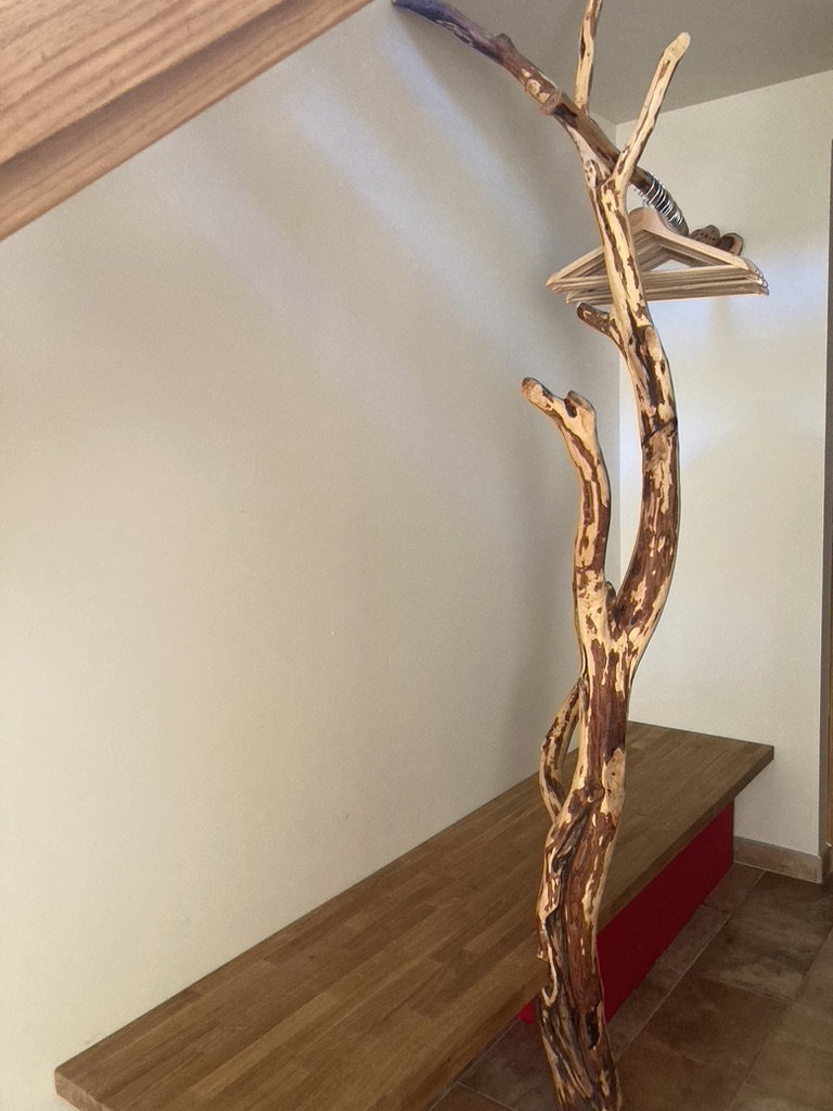 Nature house in Santa Maria de Buil