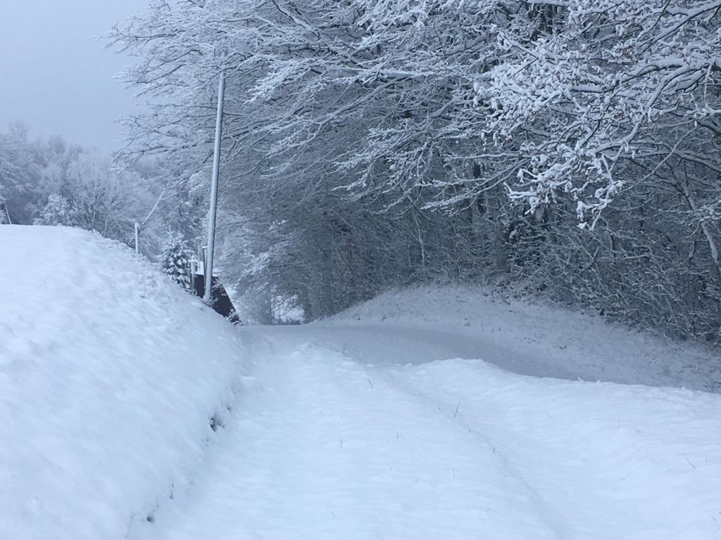 Natuurhuisje in Librecy, Signy l'Abbaye