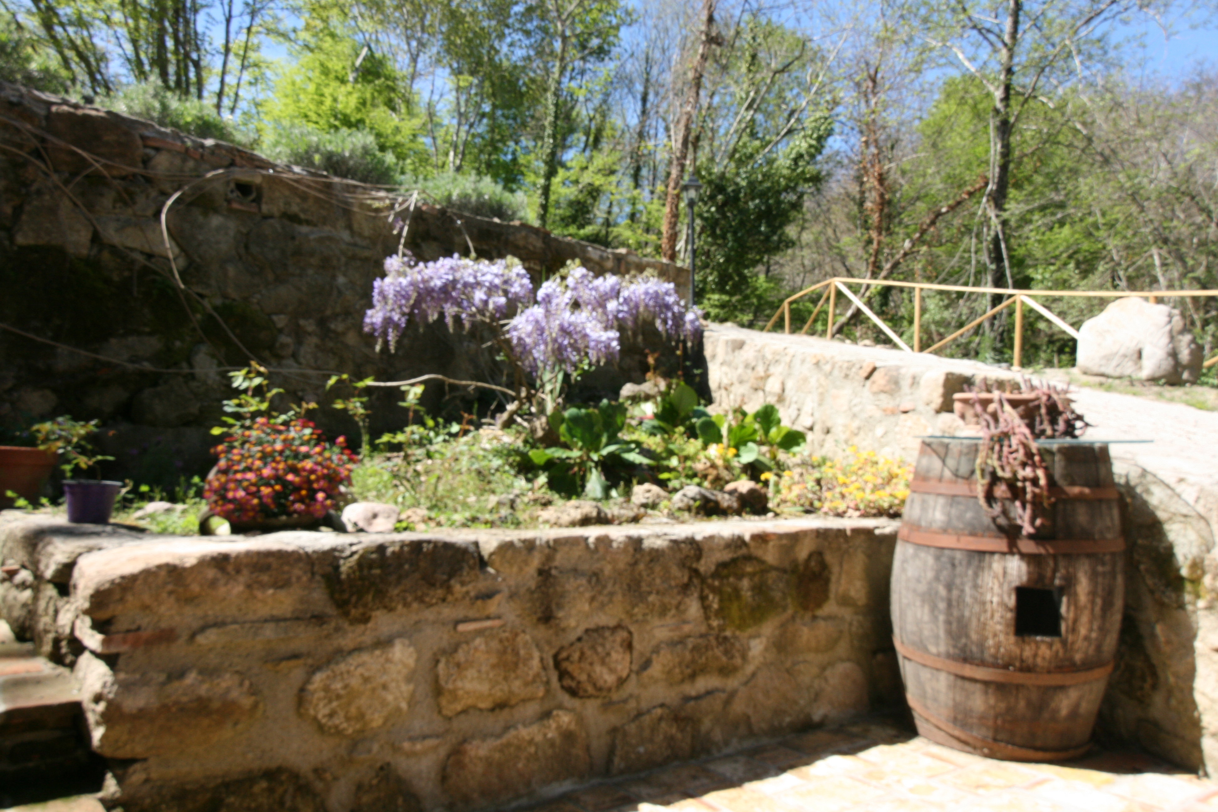 Nature house in Piloni