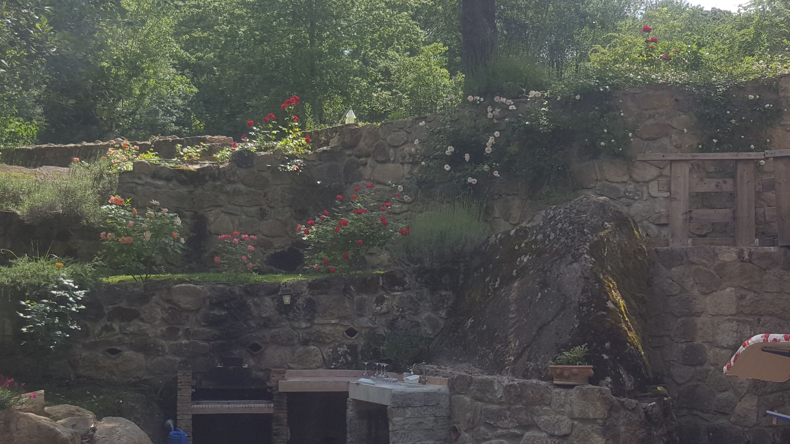 Nature house in Piloni