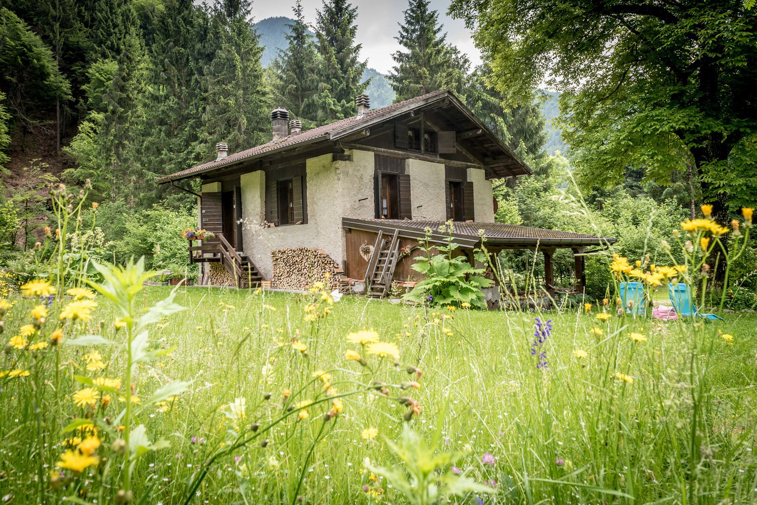 Casa nella natura a Ledro