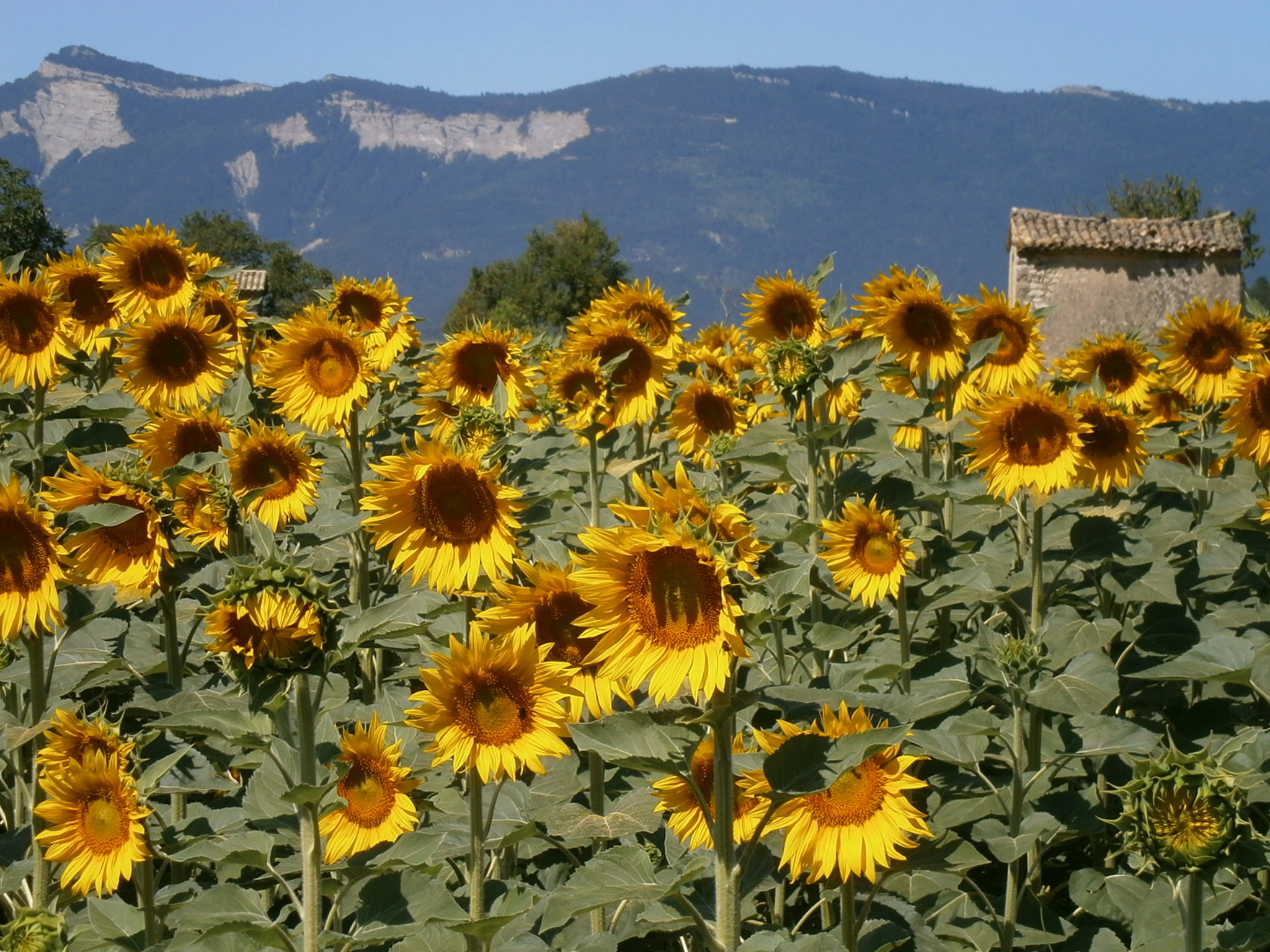 Nature house in Beaumont-en-Diois