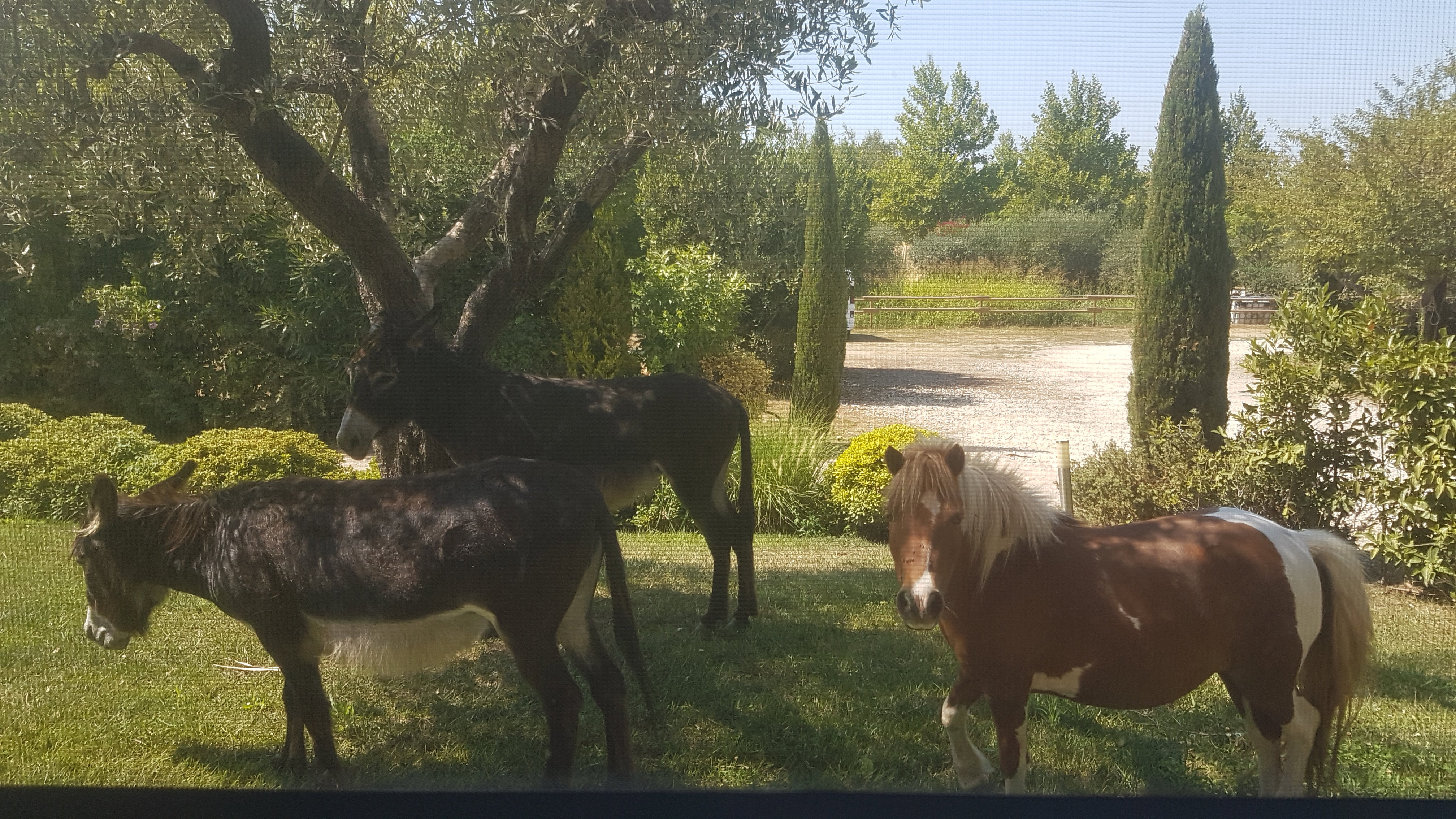 Natuurhuisje in San Giuliano Terme