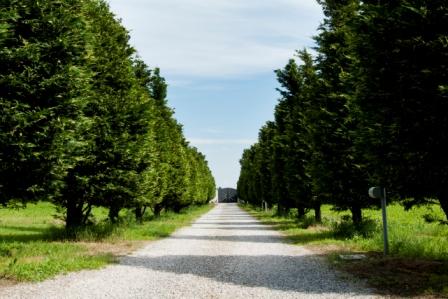 Casa nella natura a Ferrara