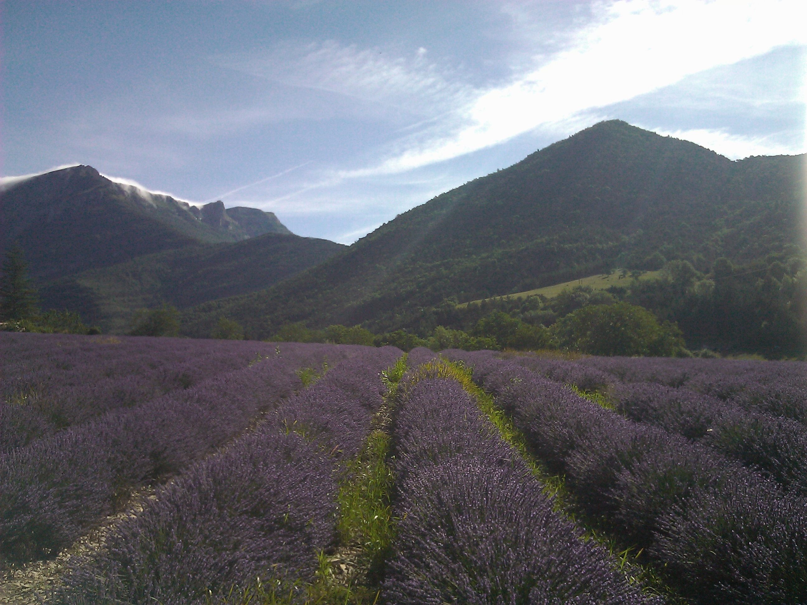 - image: 13