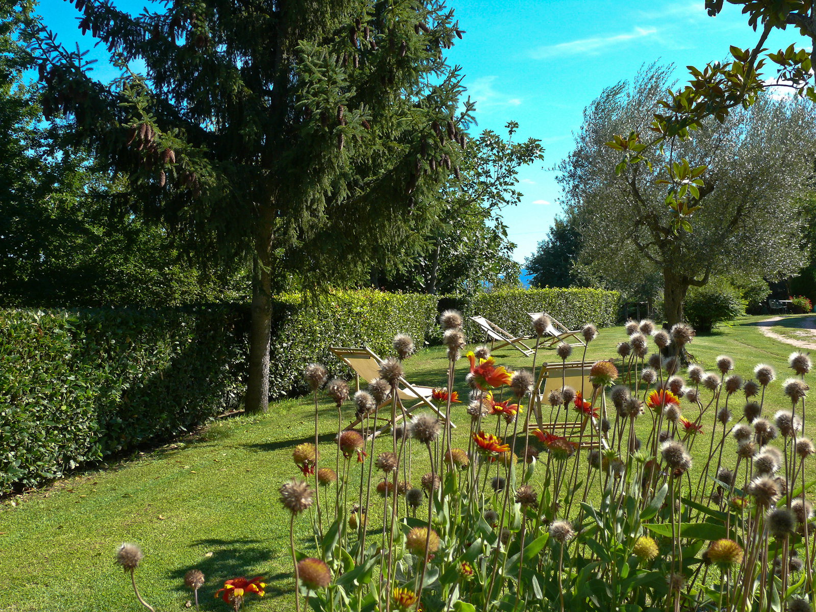 Naturhäuschen in Castiglione del Lago