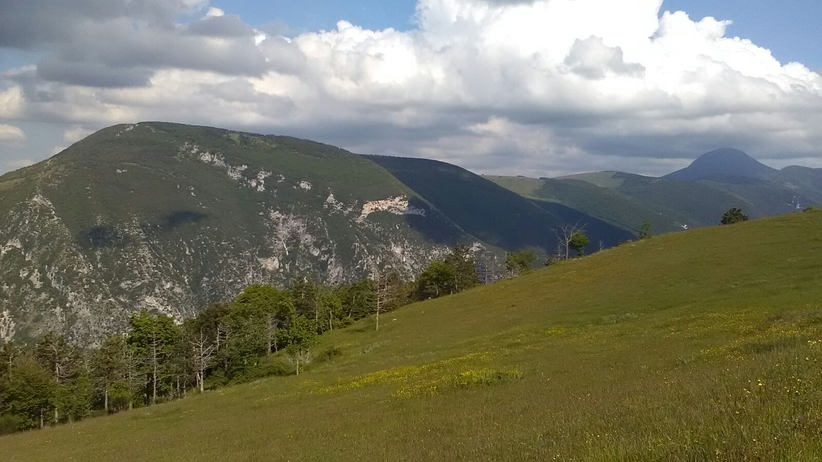 - image: 19