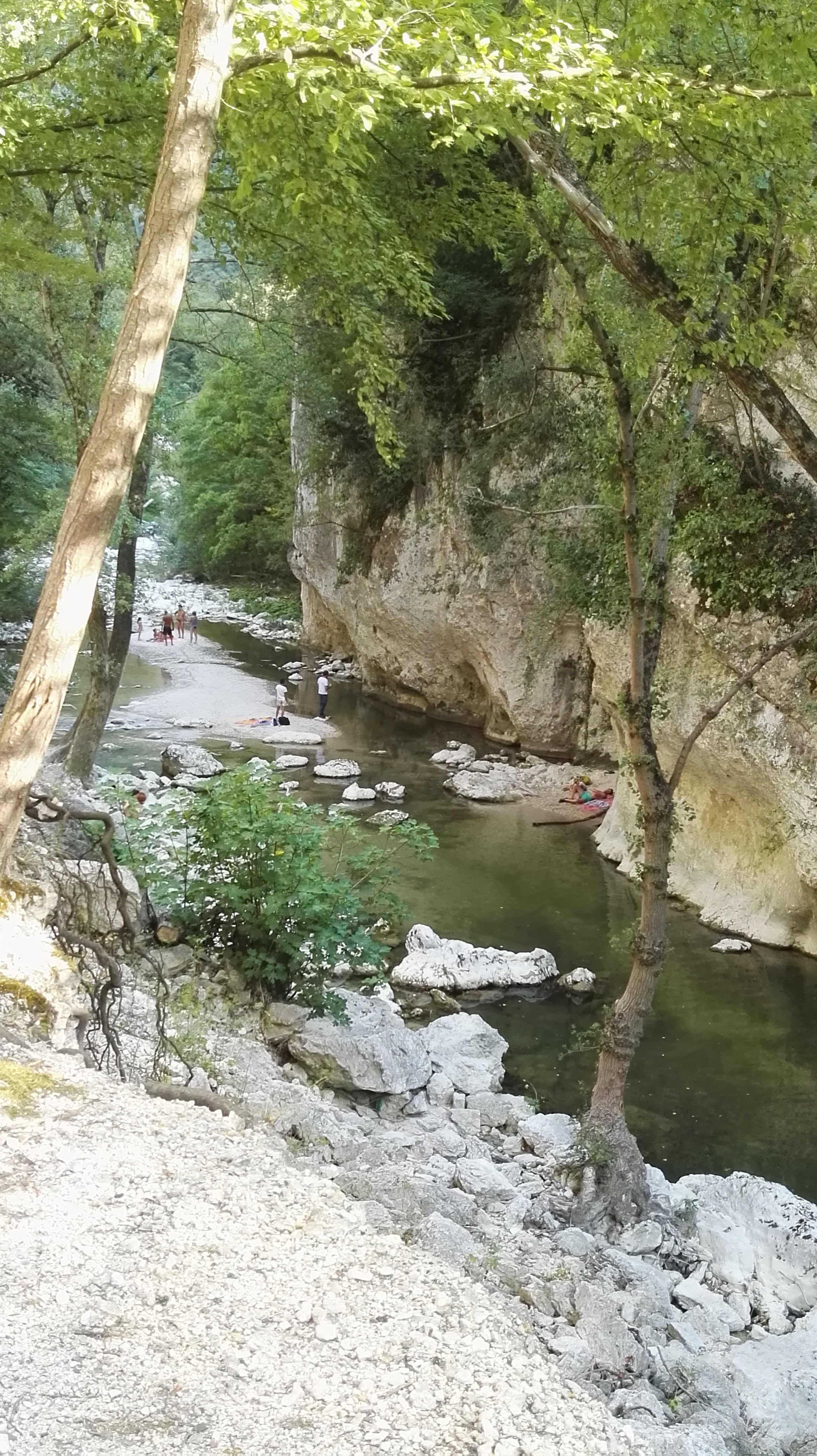 - image: 18